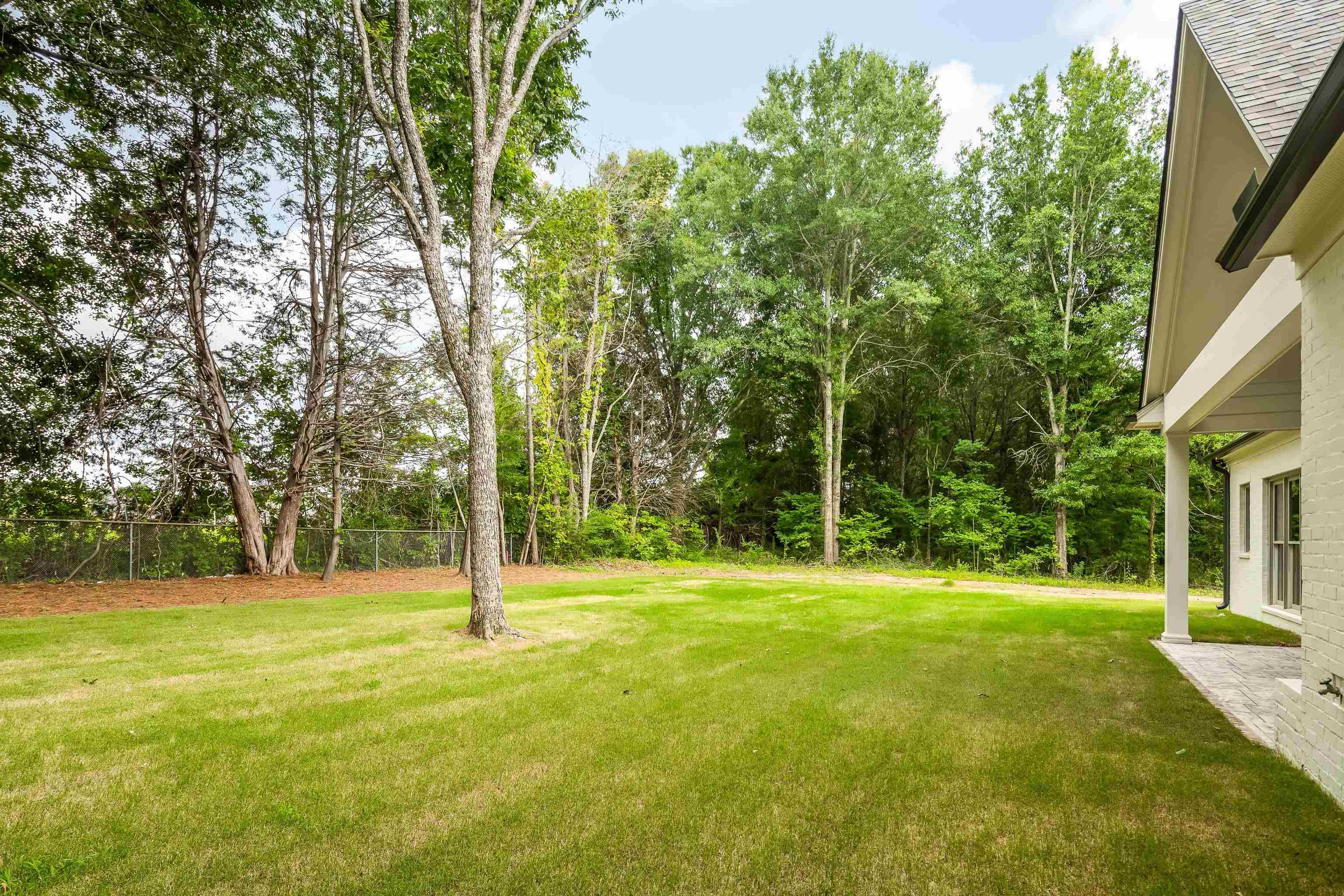 9190 Old Green Cv Property Photo 4