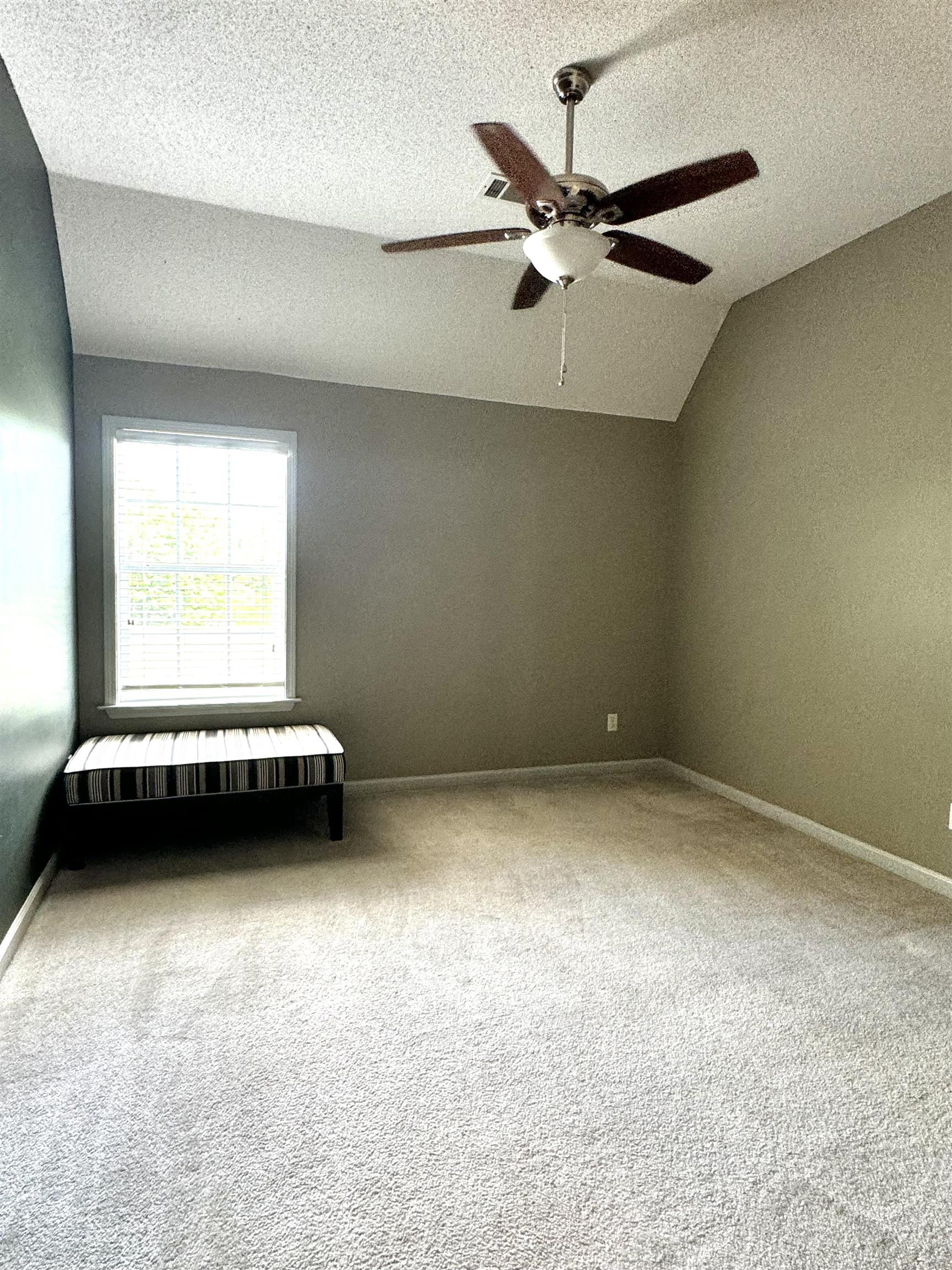 8147 Fleets Run Dr Property Photo 23