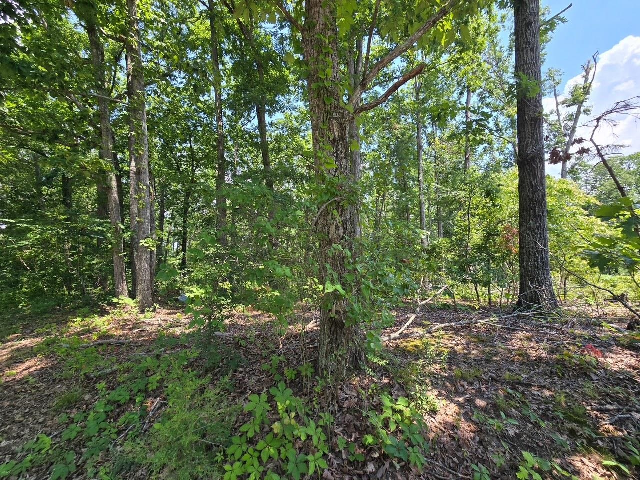 Elam Way Property Photo 2