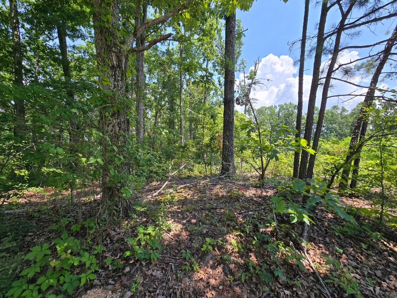 Elam Way Property Photo 3