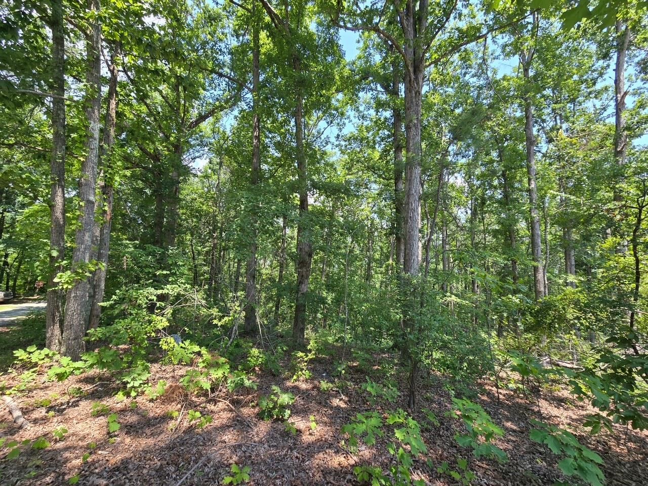 Elam Way Property Photo 4