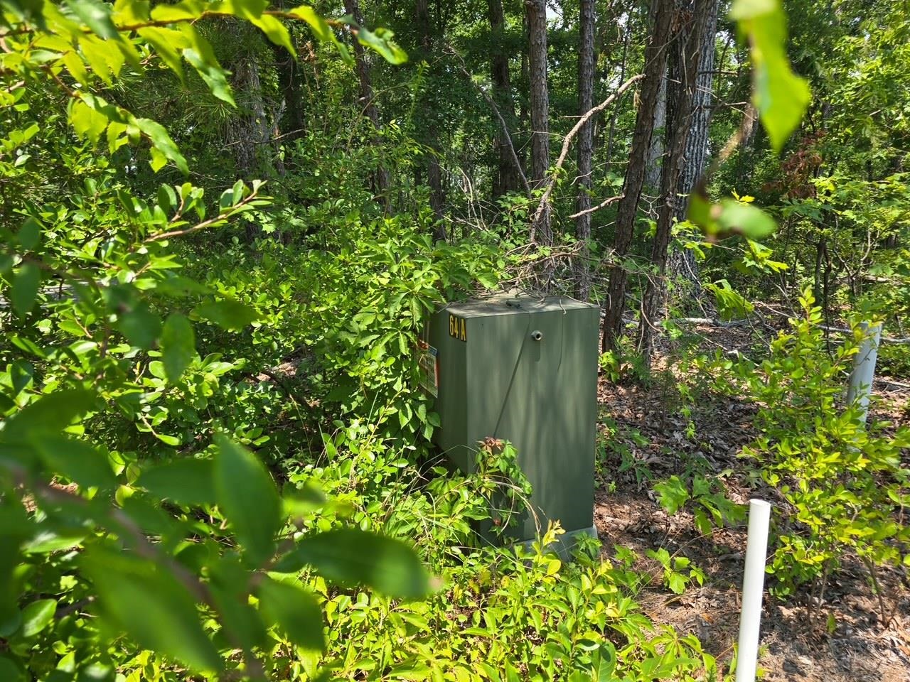 Elam Way Property Photo 7