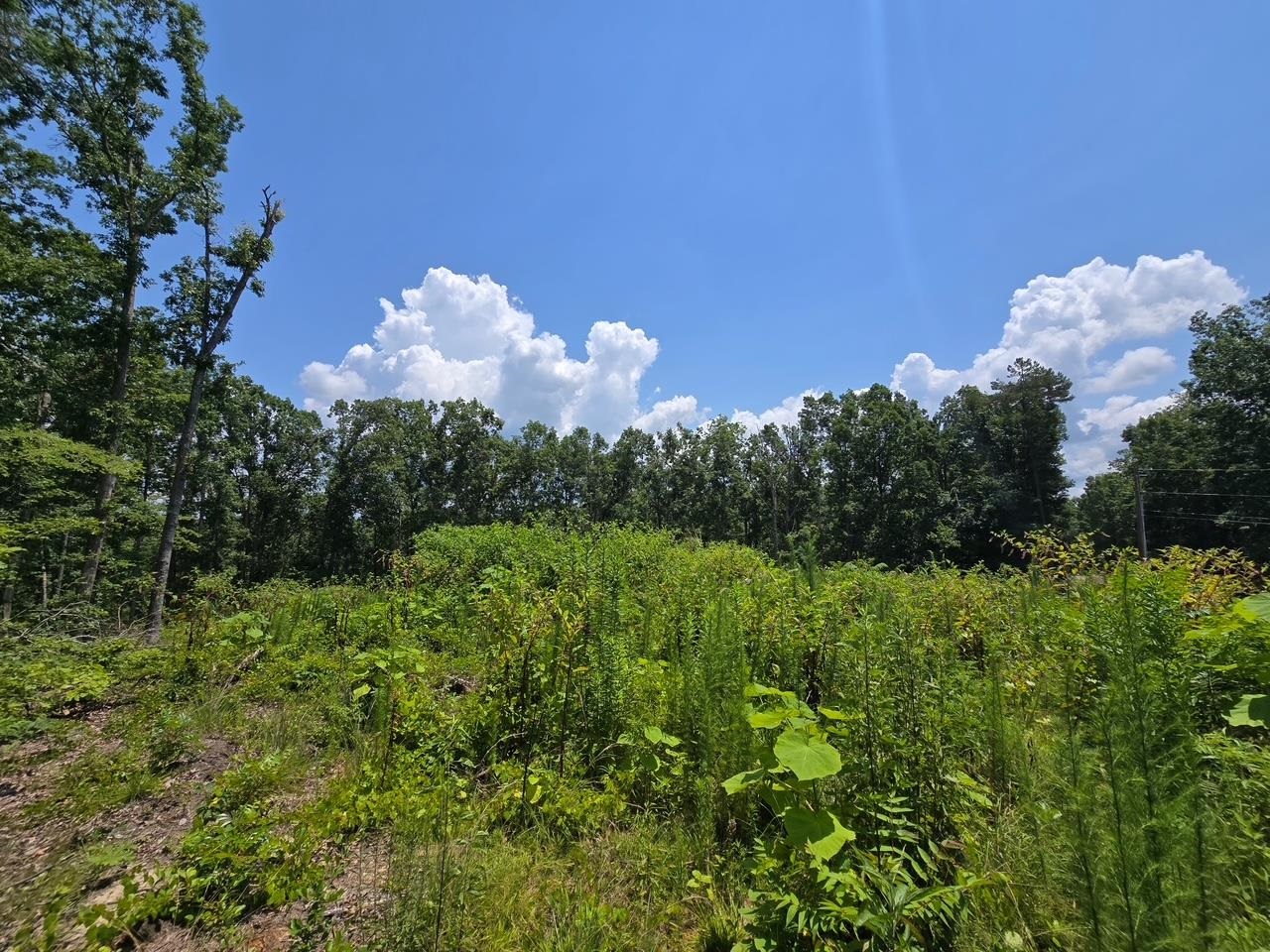 Elam Way Property Photo 11