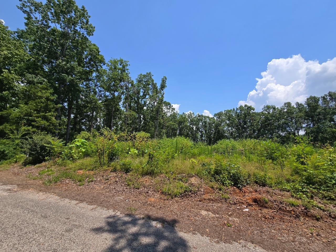 Elam Way Property Photo 12