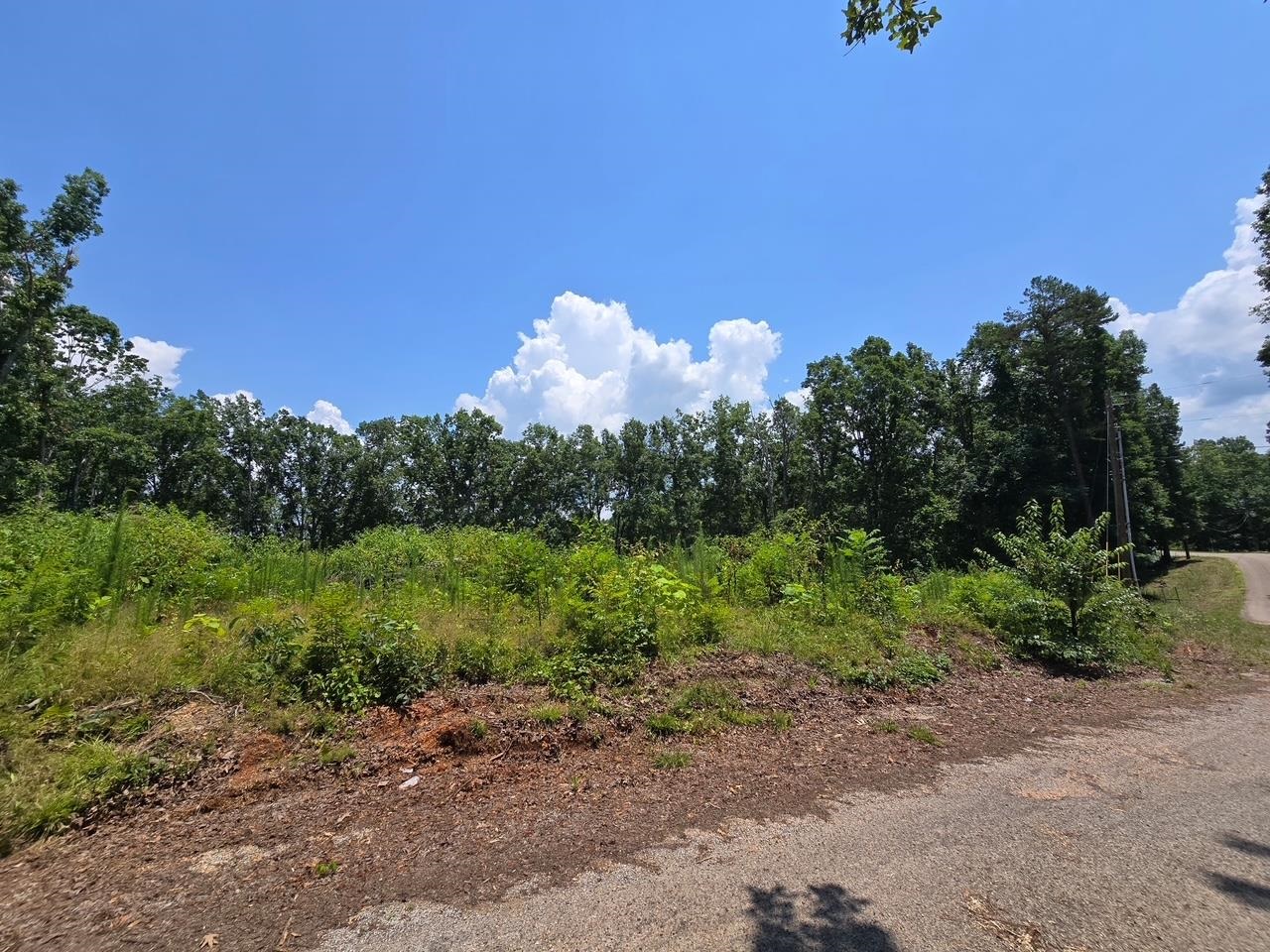 Elam Way Property Photo 13