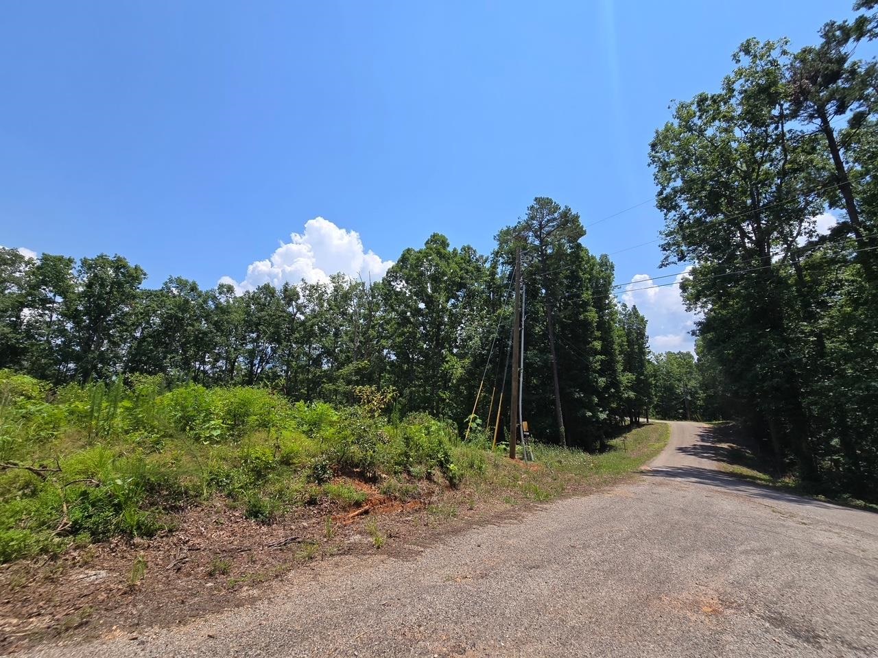 Elam Way Property Photo 16