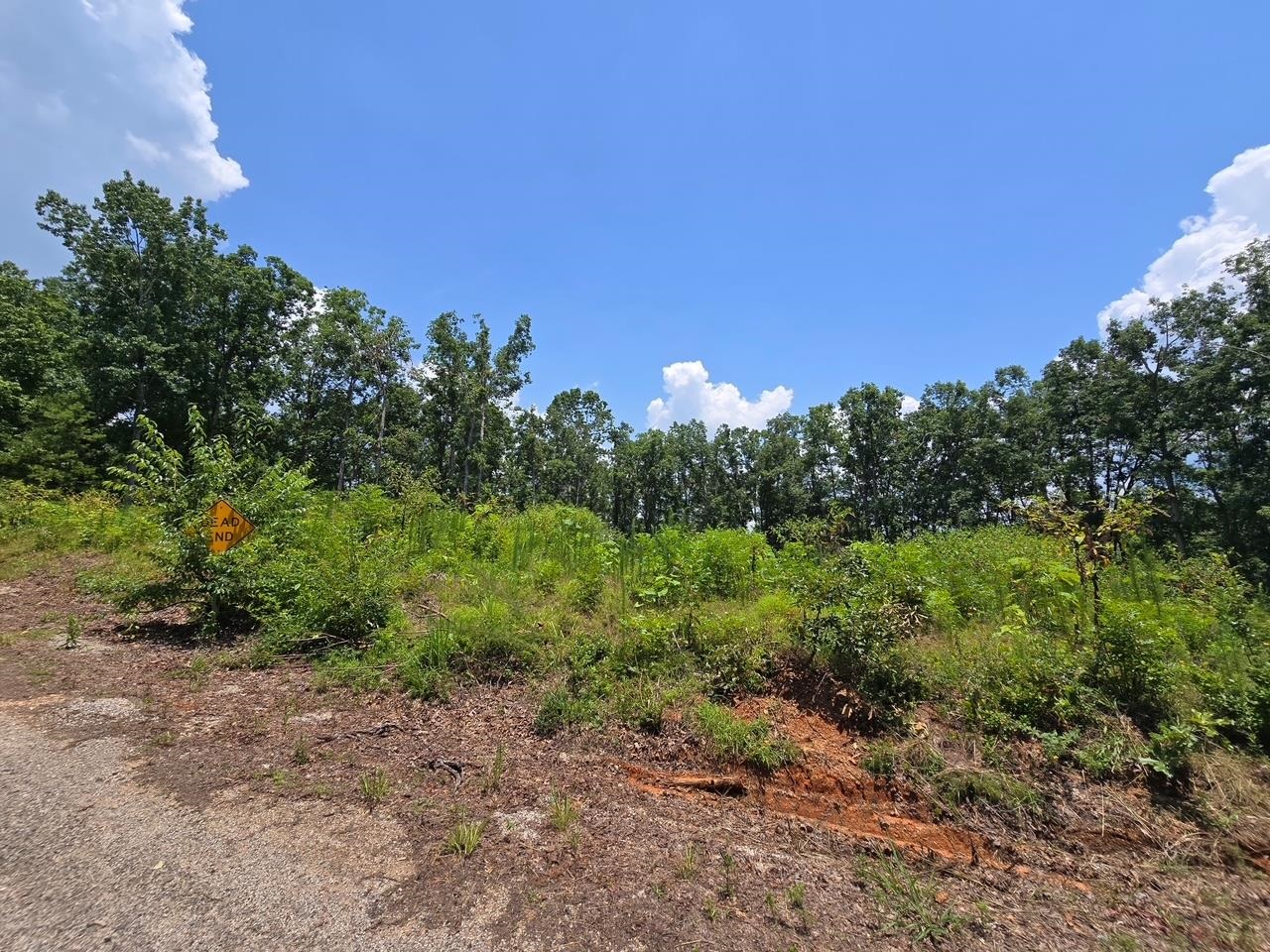 Elam Way Property Photo 19
