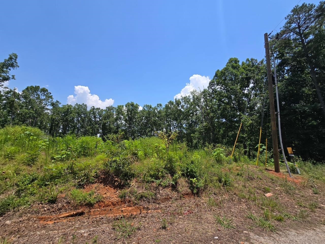 Elam Way Property Photo 20