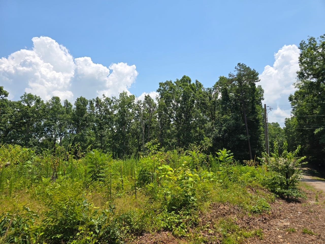 Elam Way Property Photo 21