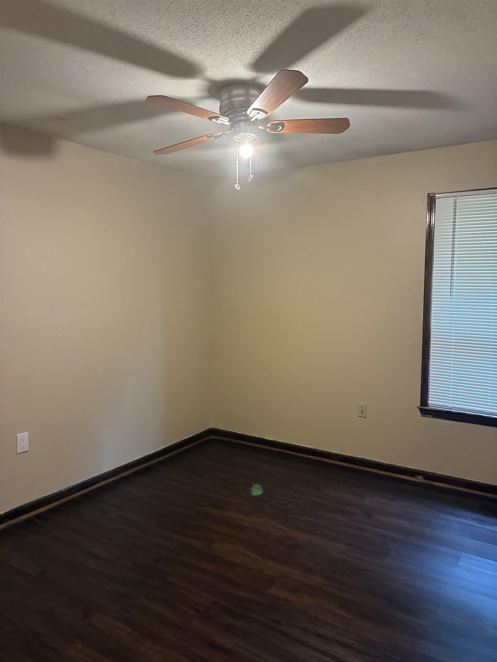 2747 Whitney Ave Property Photo 5