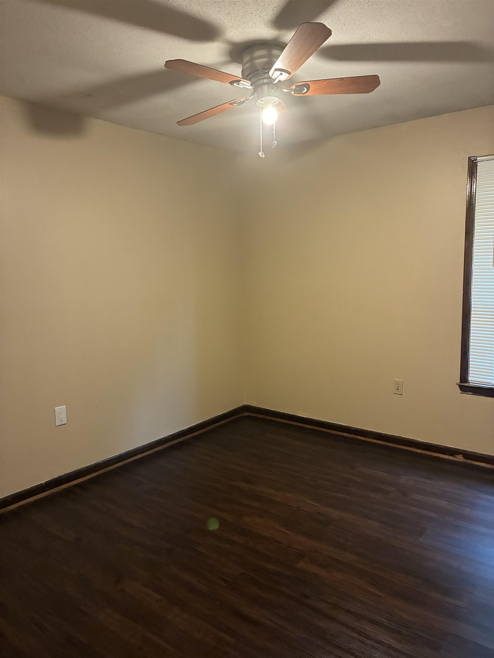 2747 Whitney Ave Property Photo 16