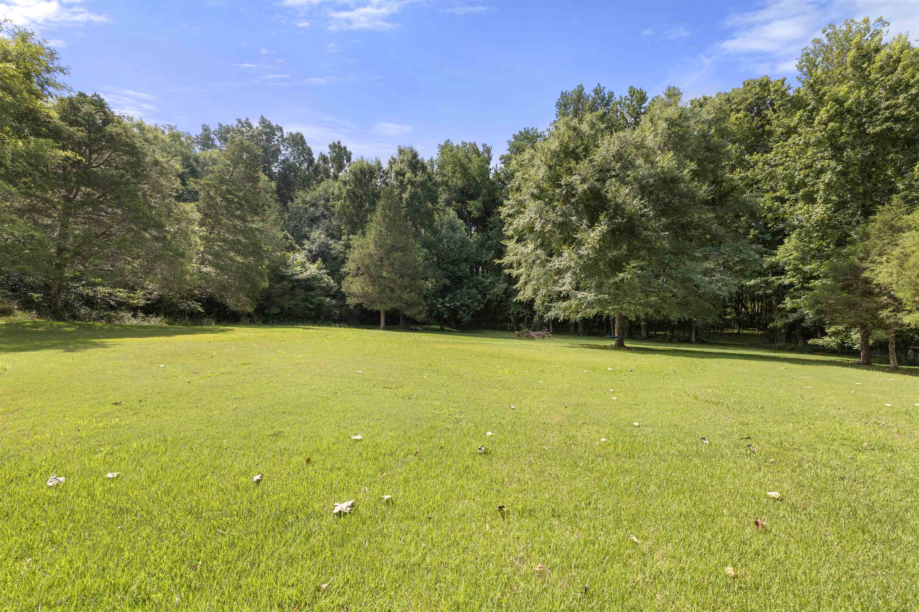 11119 Silsbe Ln Property Photo 29