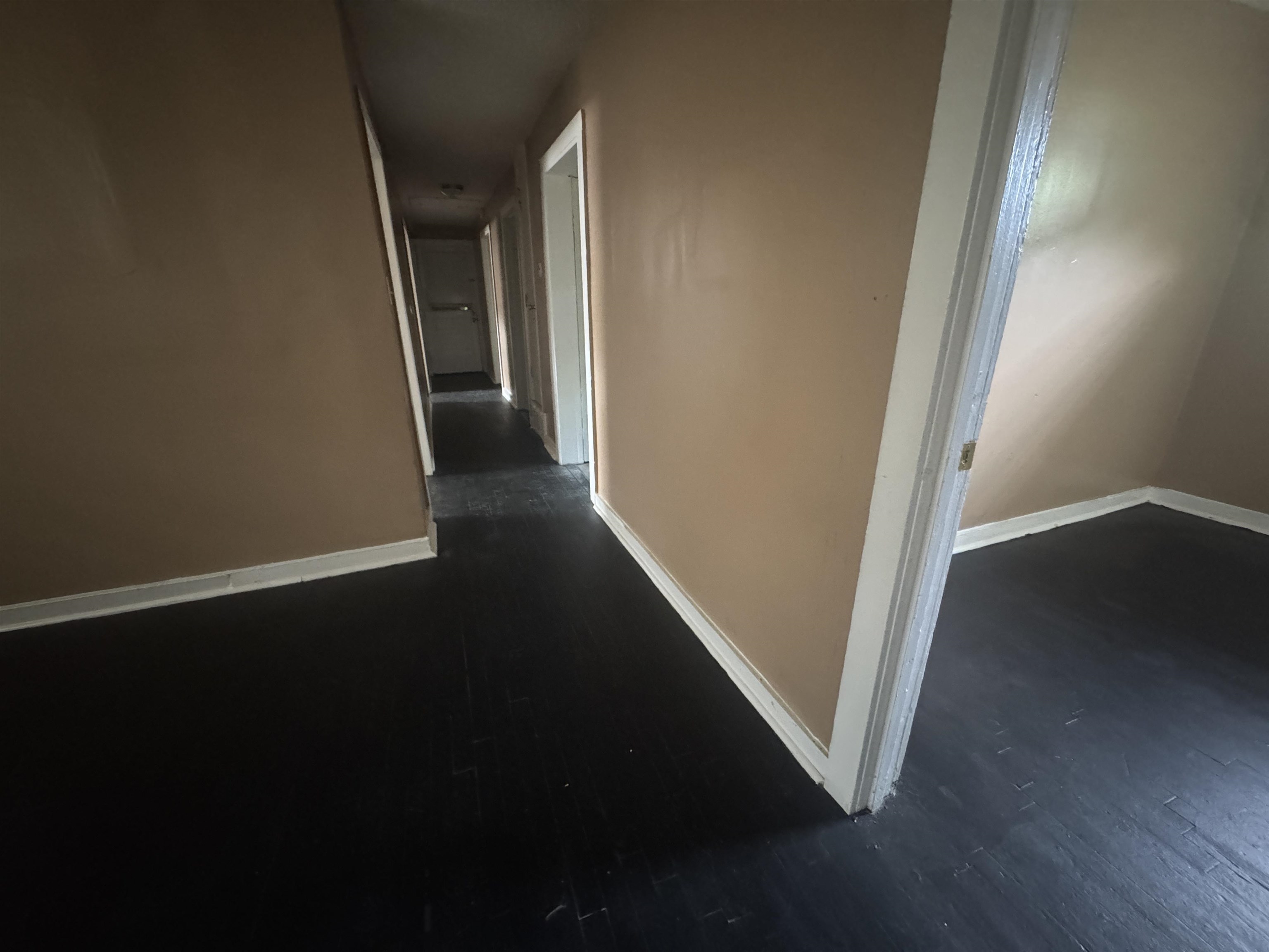 2282 Eldridge Ave Property Photo 12