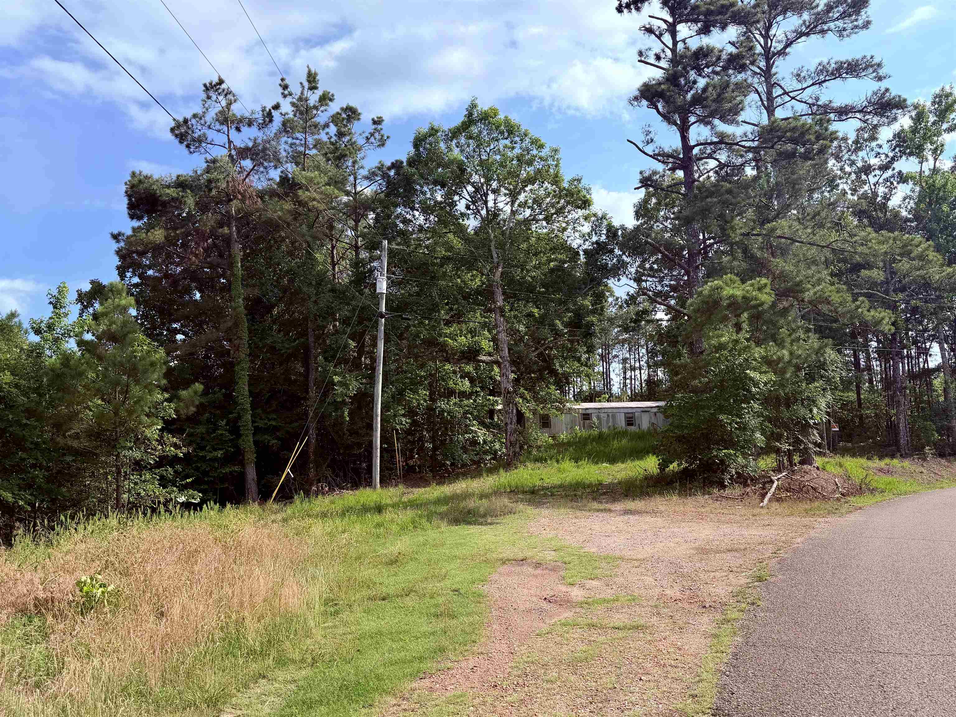 950 Feddie Davis Rd Property Photo 1