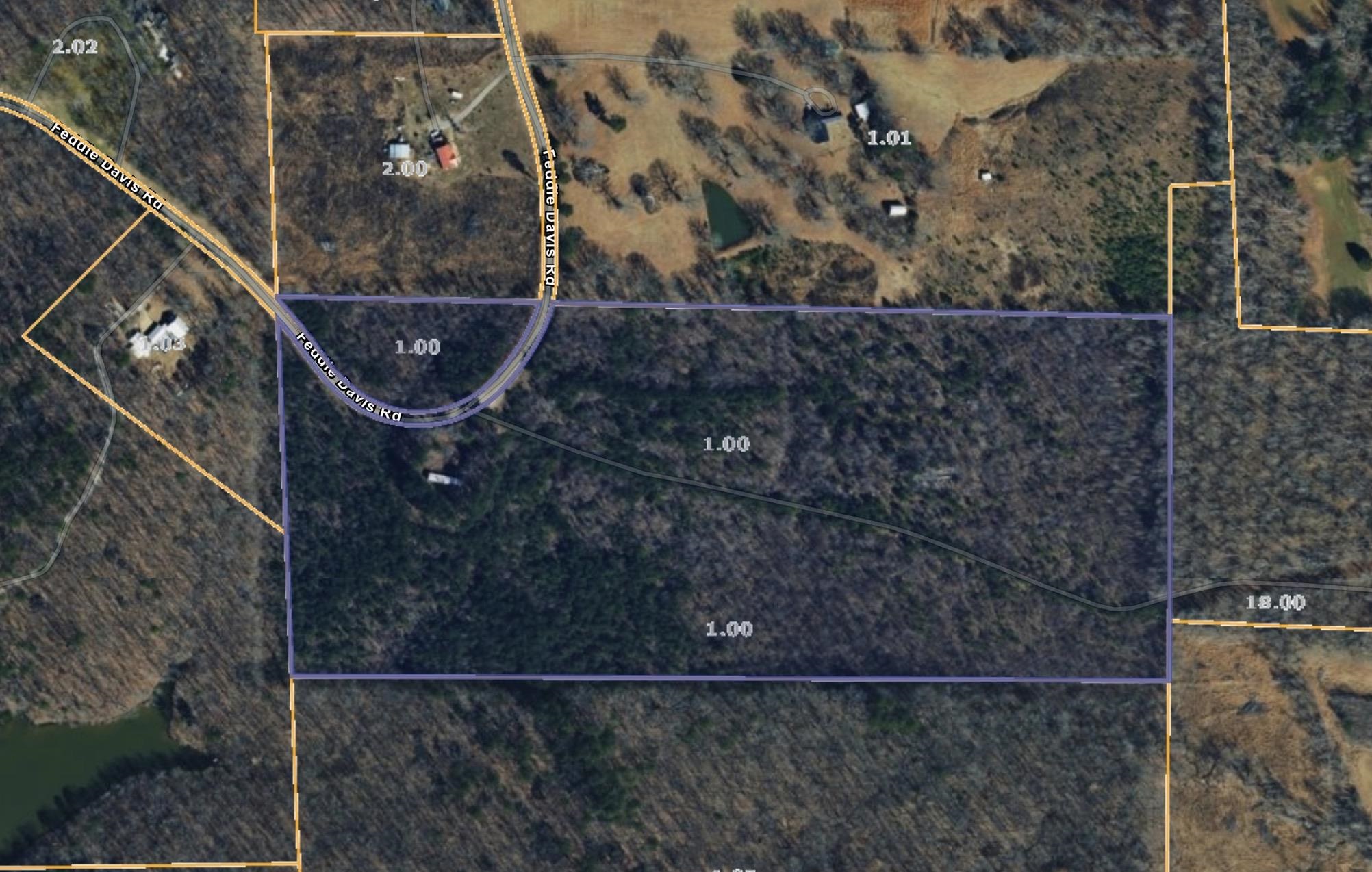 950 Feddie Davis Rd Property Photo 6
