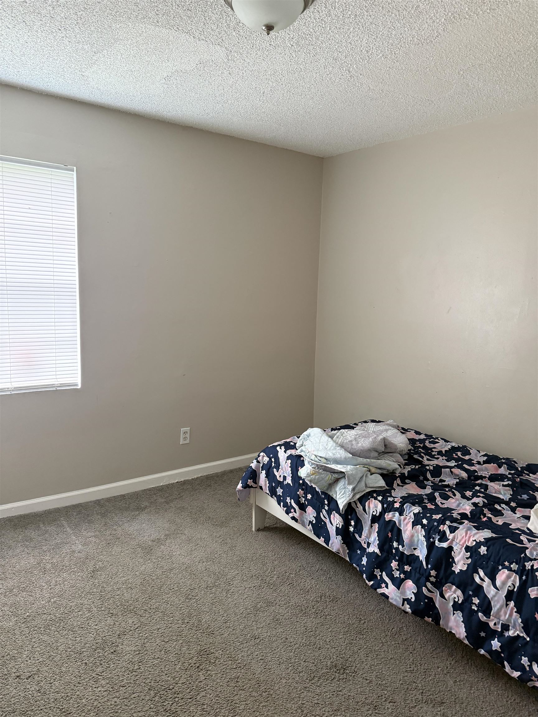 927 N Third St Property Photo 3