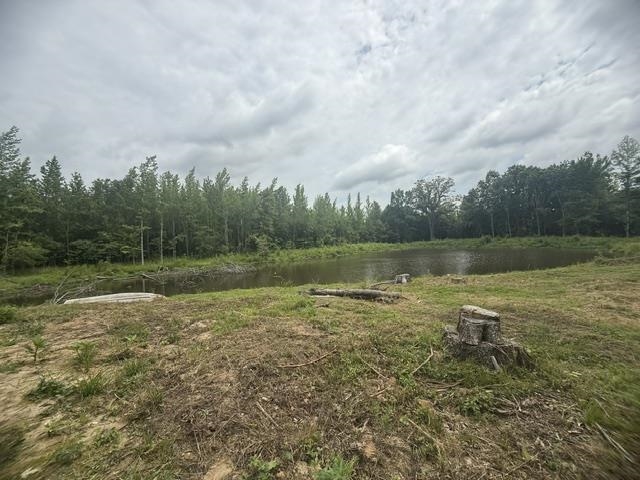 31880 Highway 69 Hwy Property Photo 5