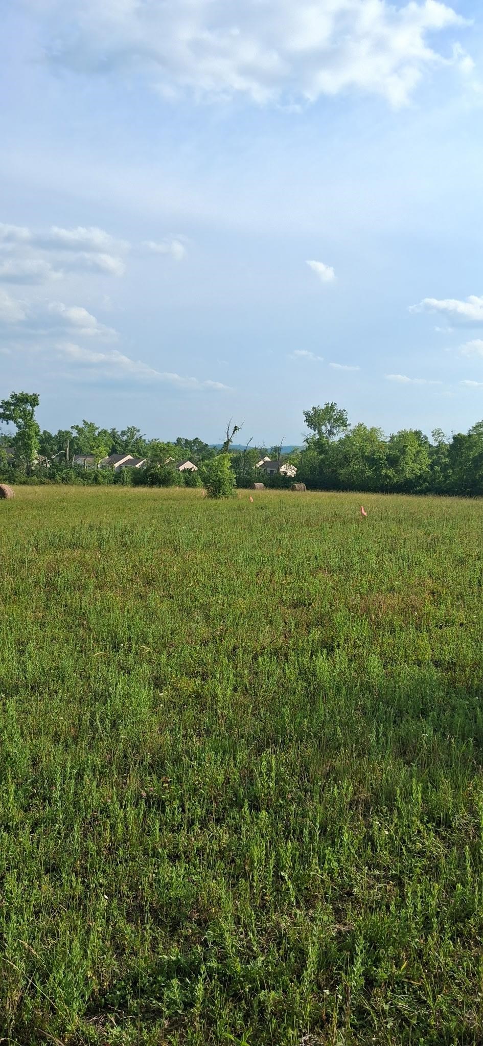 1325 Bellshire Dr Property Photo 2