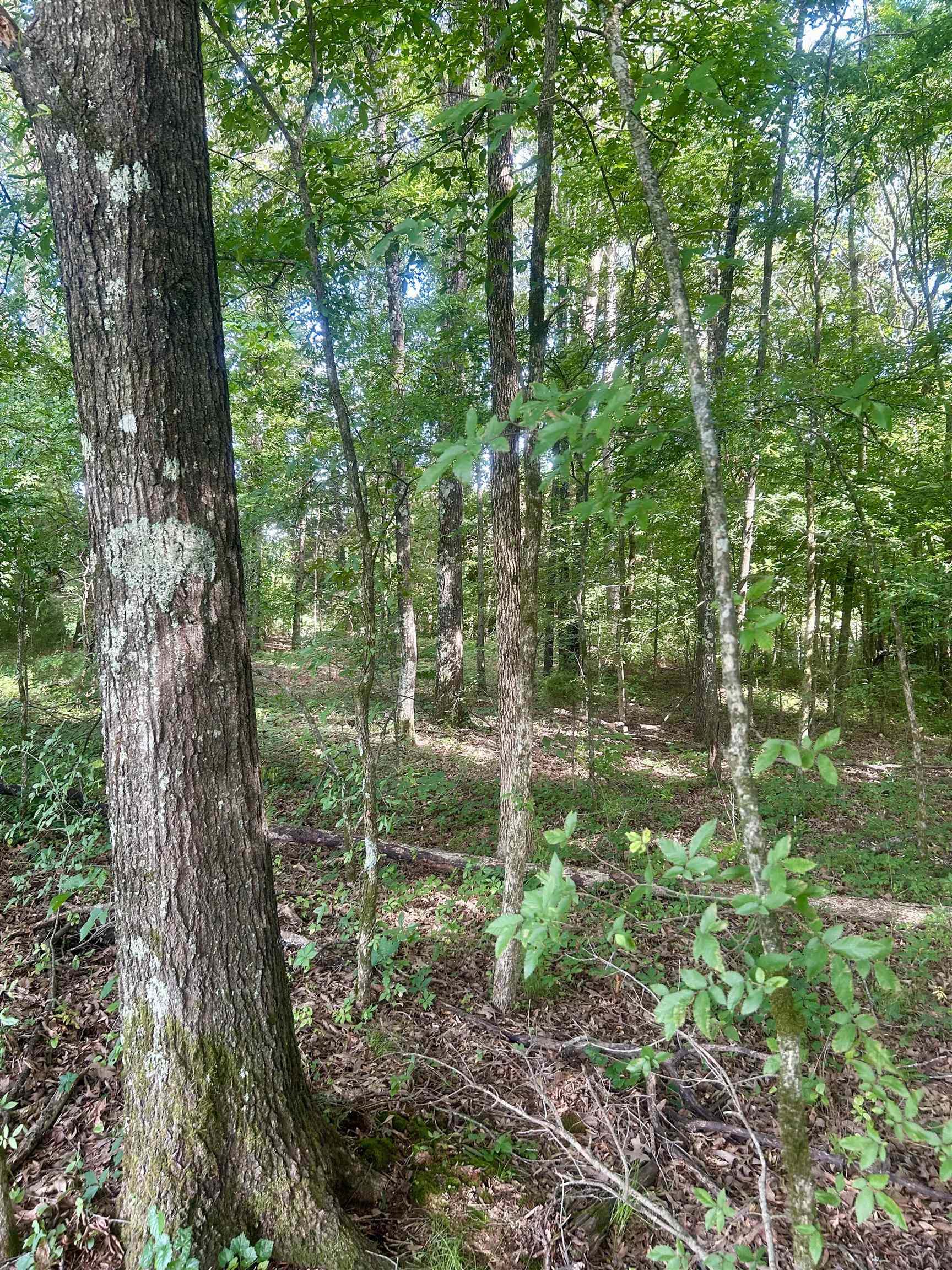 00 Van Buren Rd. Rd Property Photo 5
