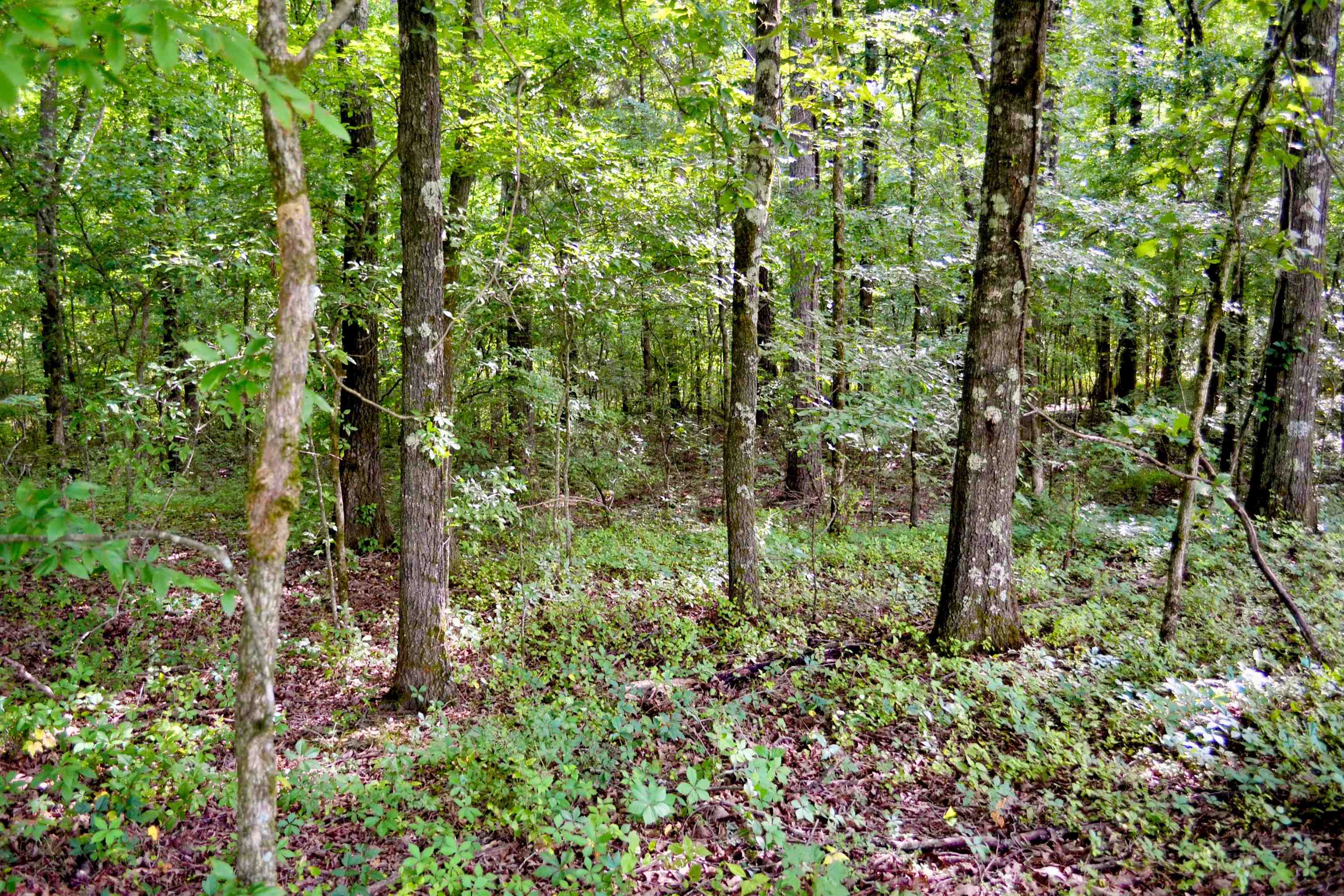 00 Van Buren Rd. Rd Property Photo 7