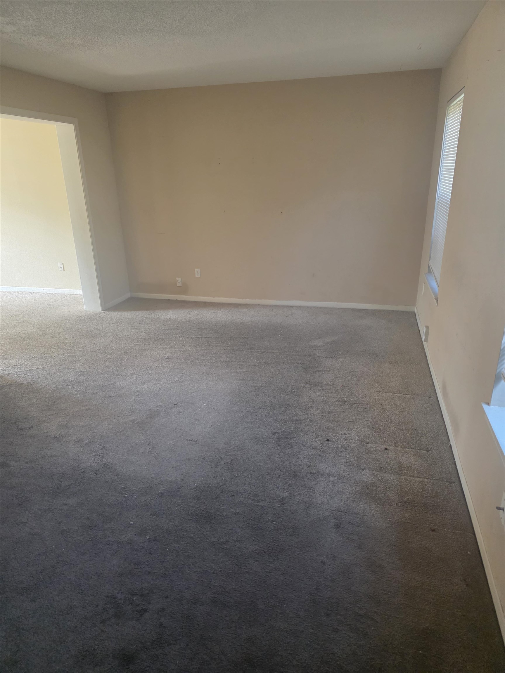 5668 Hinton Place Dr Property Photo 3