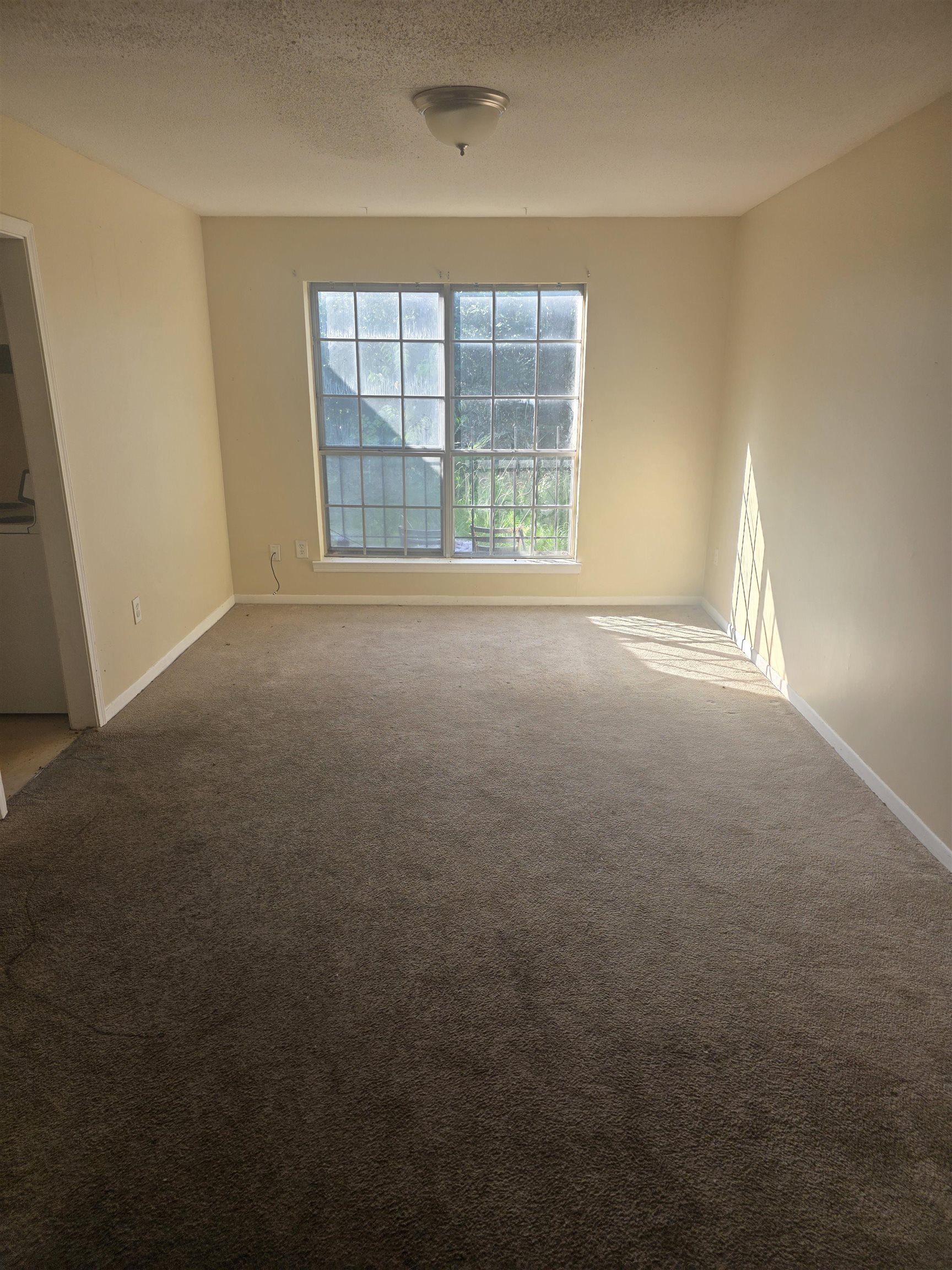 5668 Hinton Place Dr Property Photo 4