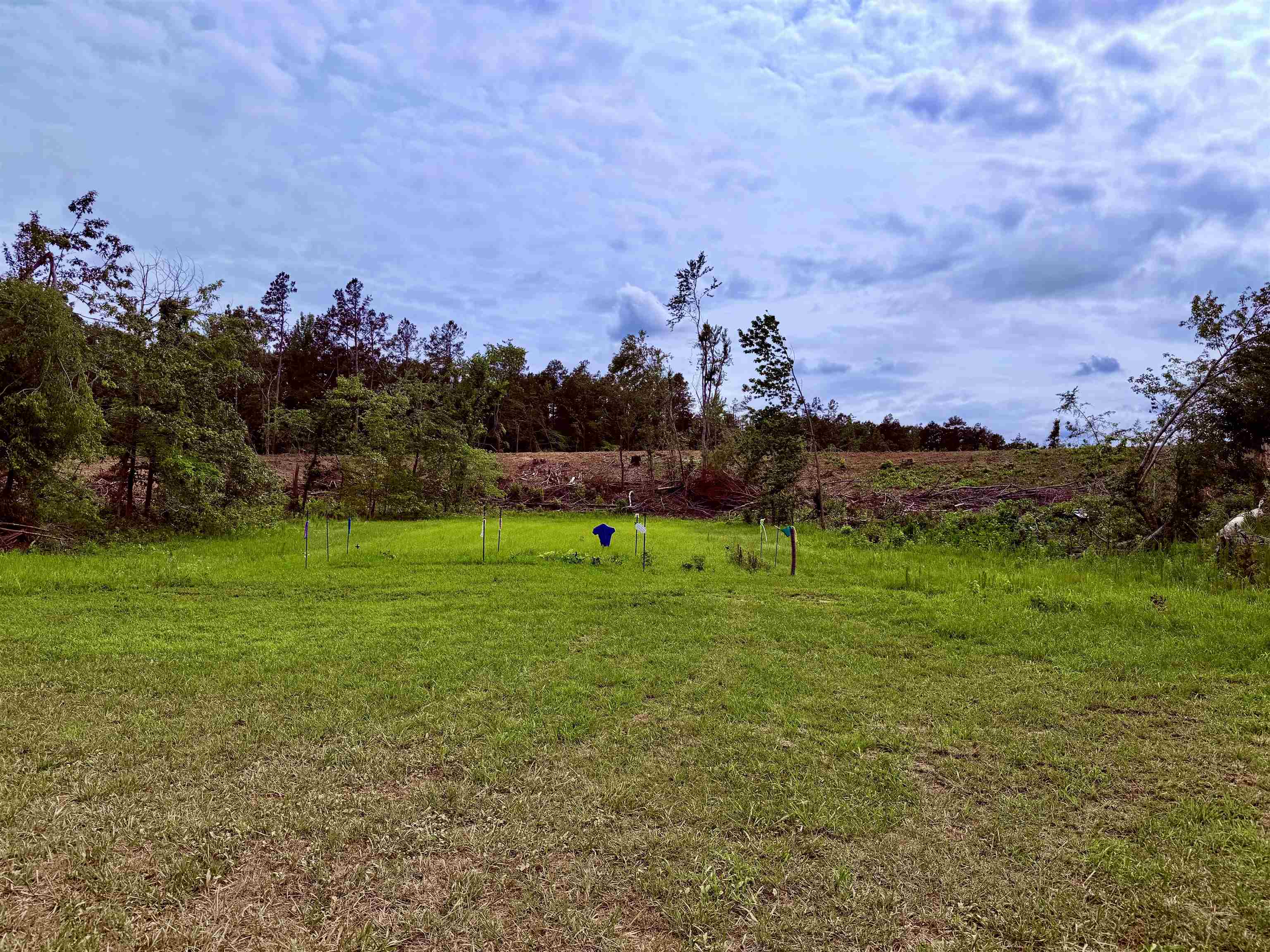 0 Dee Moore Rd Property Photo 1