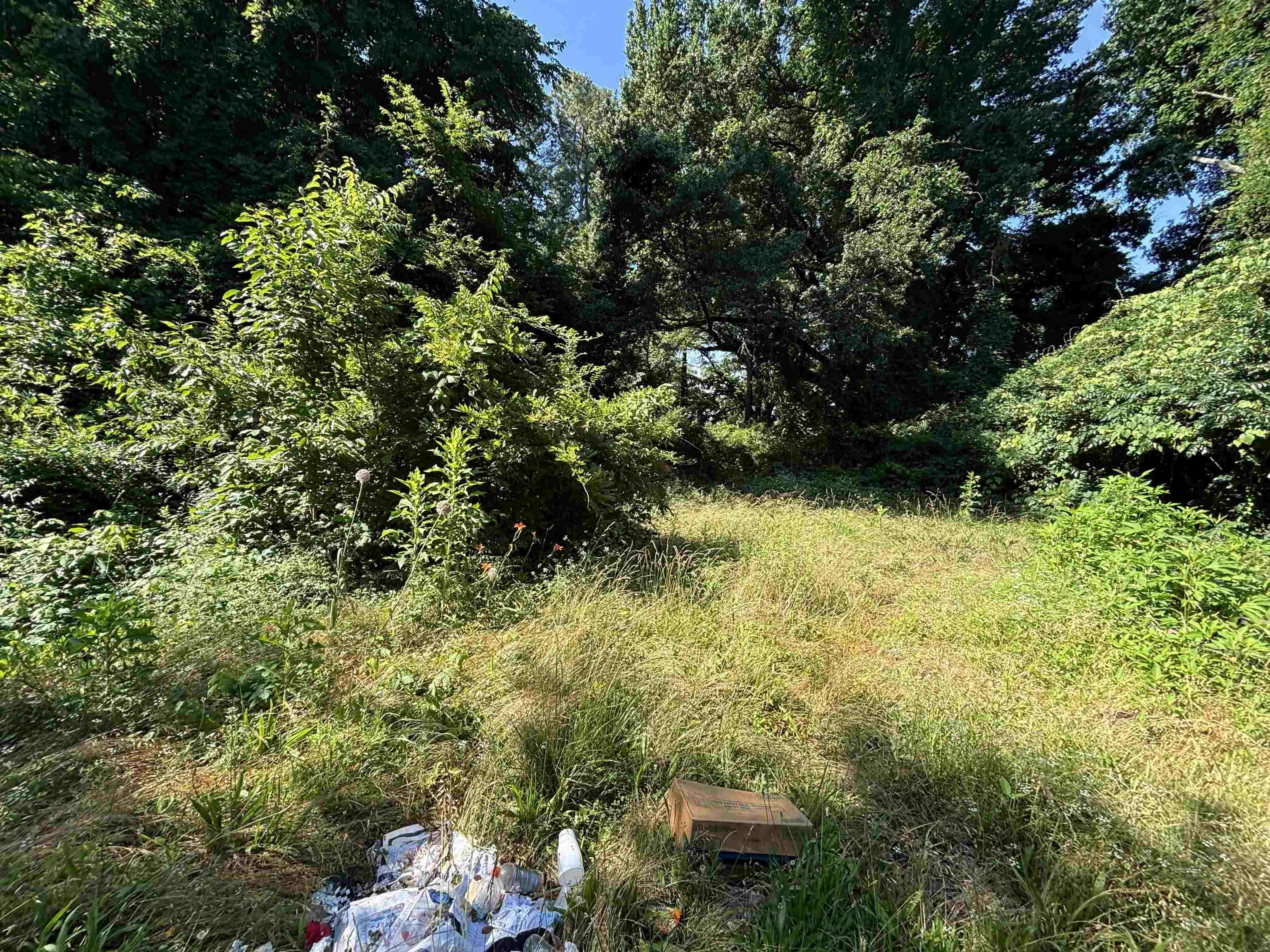 175 E Brooks Rd Property Photo 6