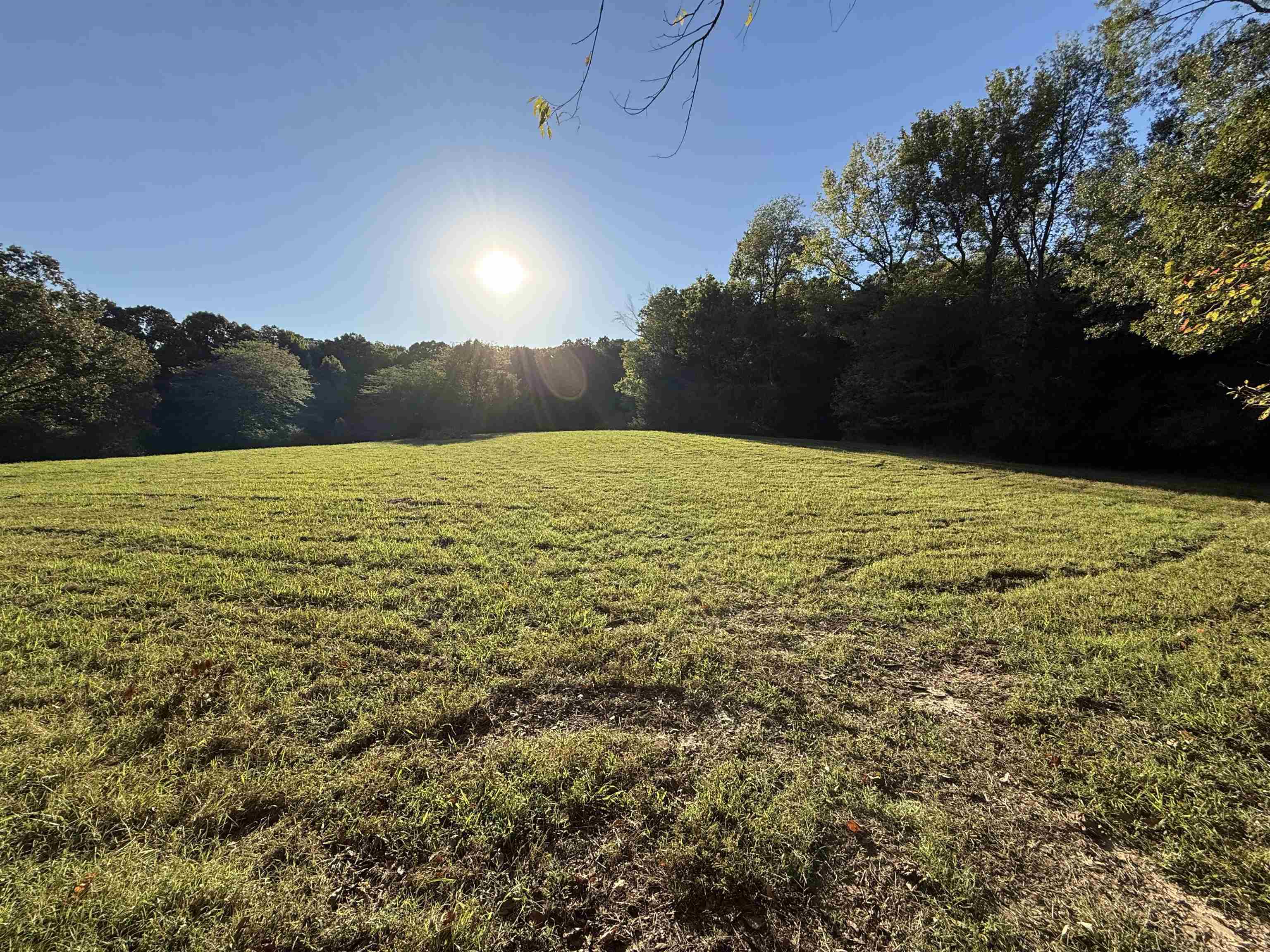 9171 Collierville-arlington Rd Property Photo 3