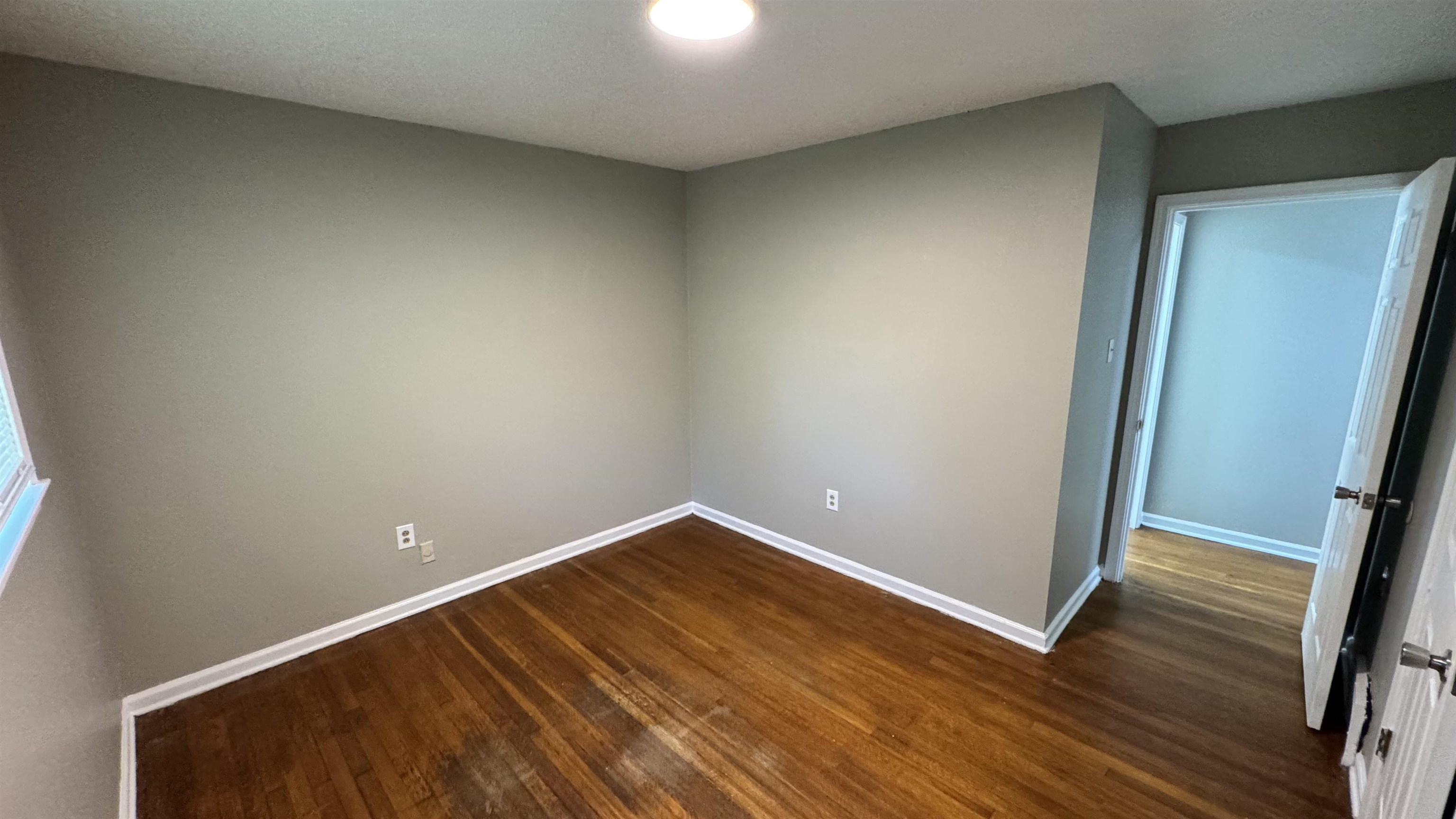 4886 Judy Lynn Ln Property Photo 13