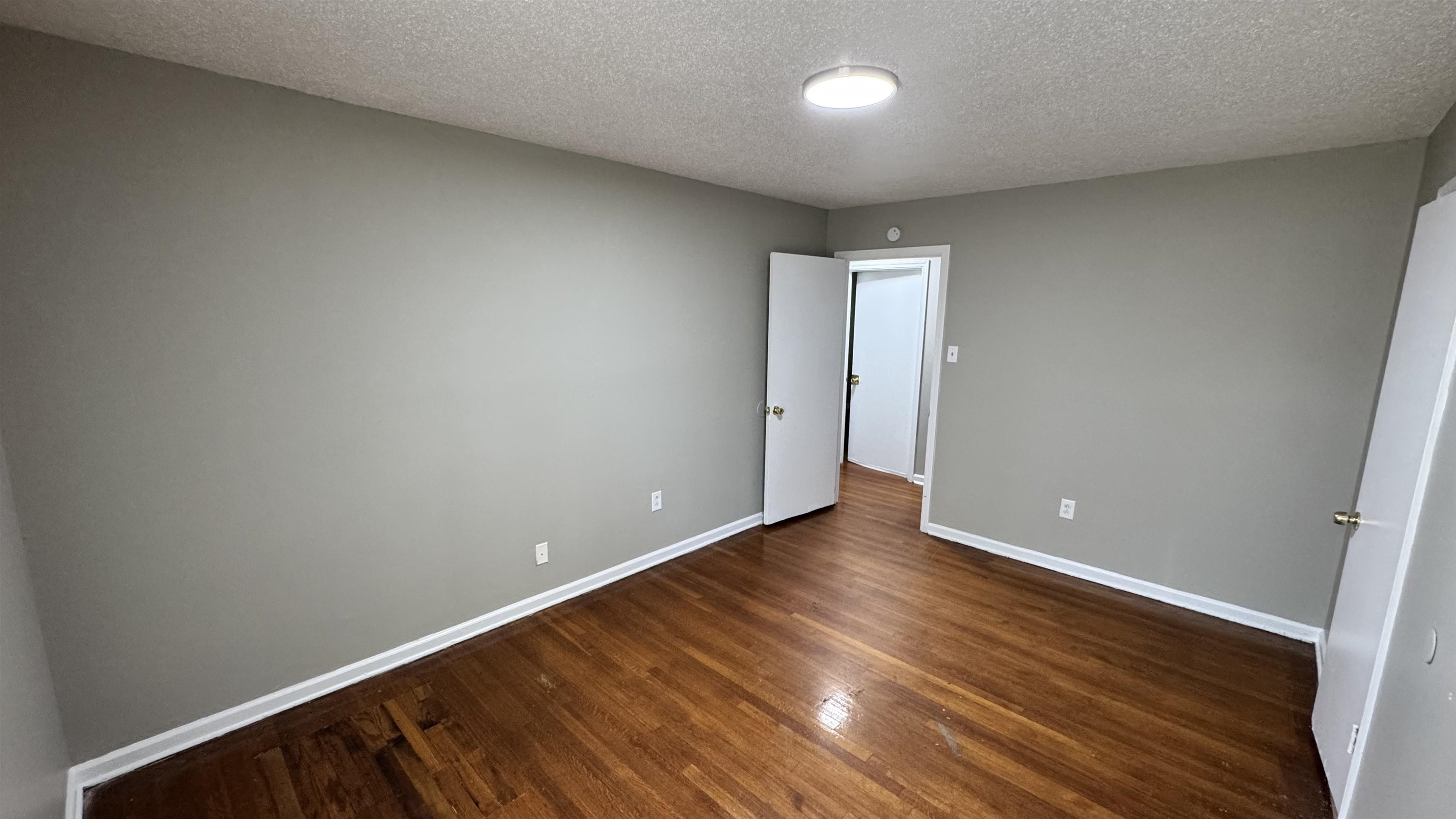 4886 Judy Lynn Ln Property Photo 17