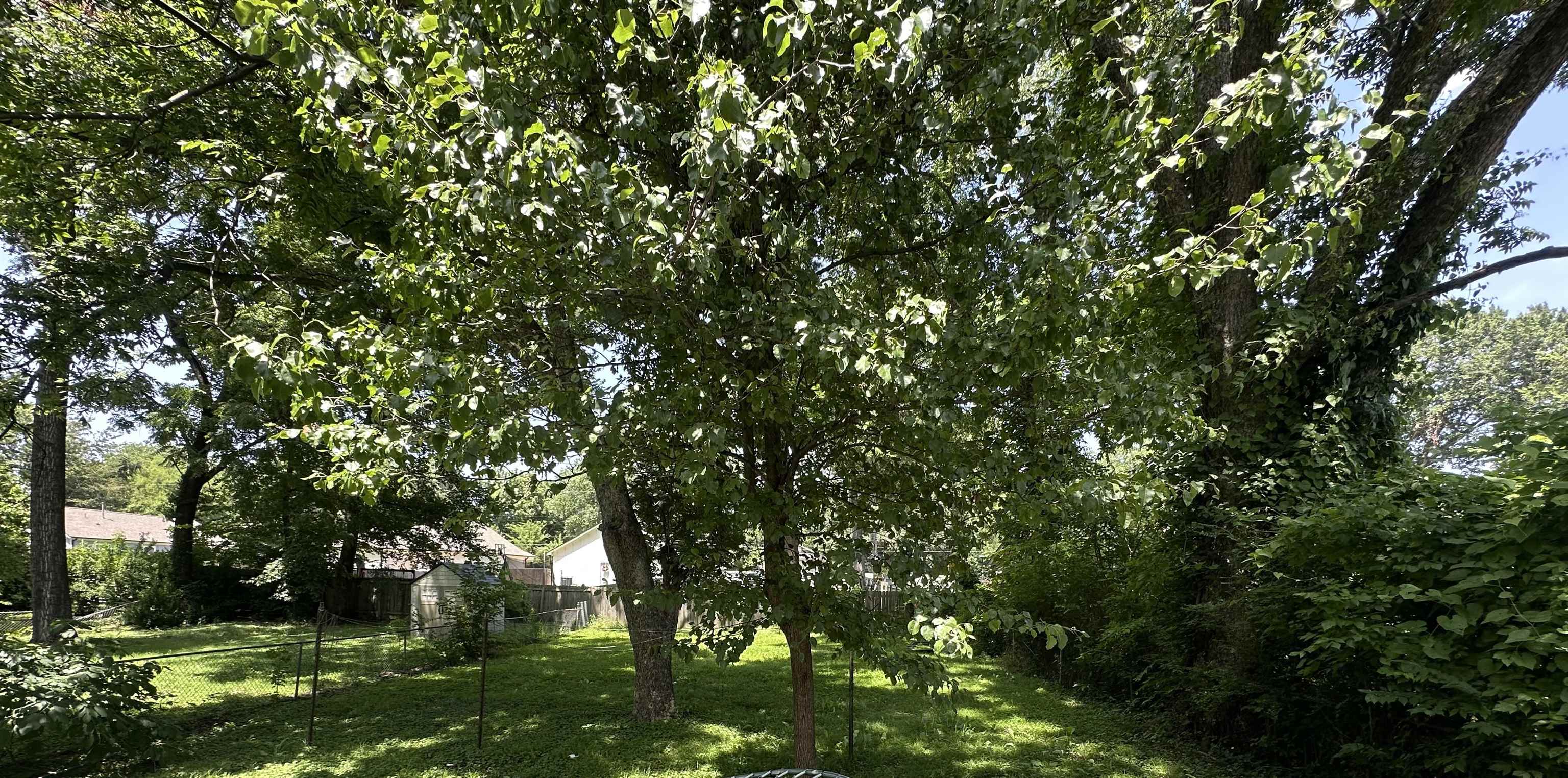 3548 Kruger Rd Property Photo 16