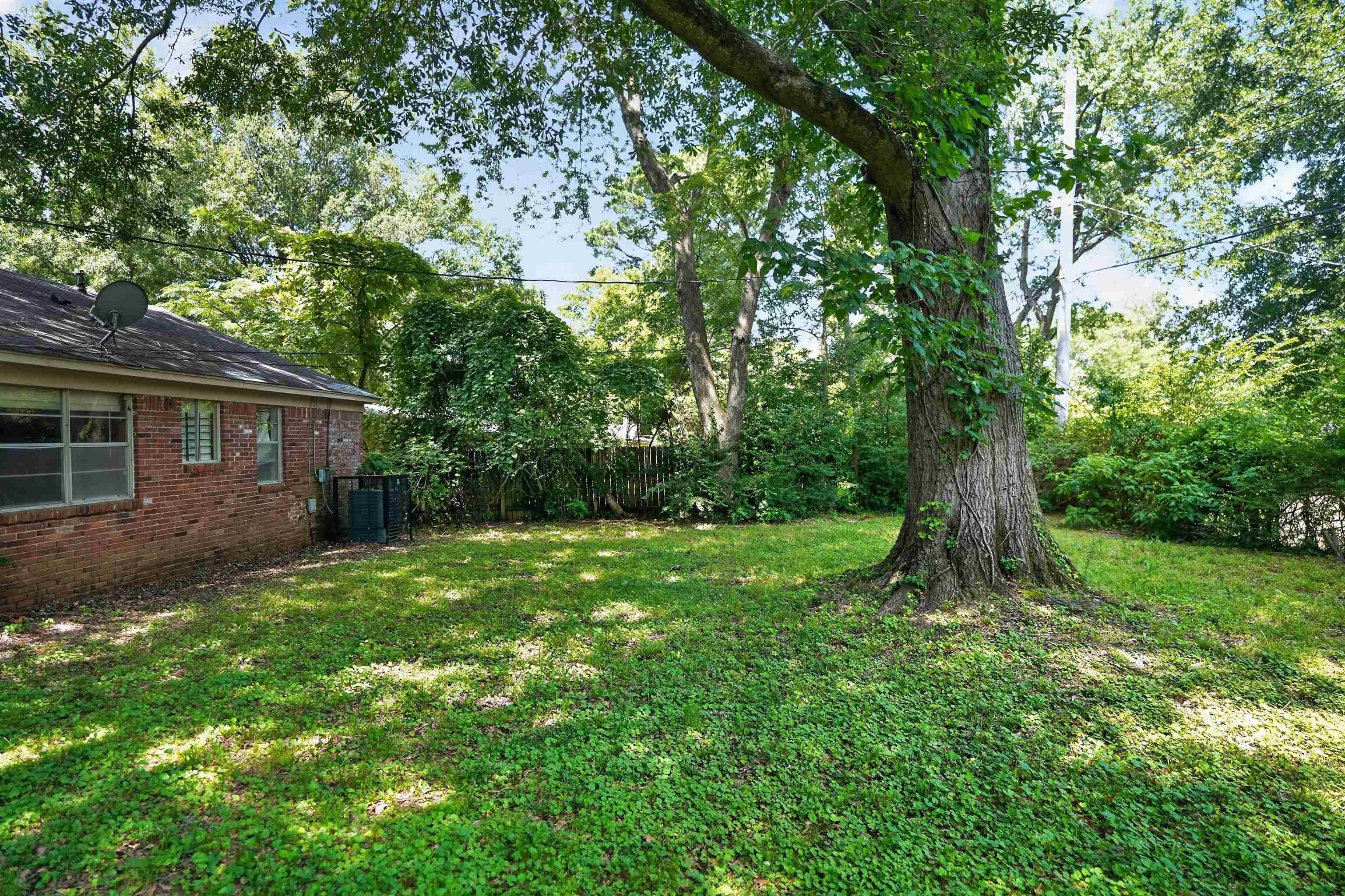 3712 Wolf Trail Dr Property Photo 6