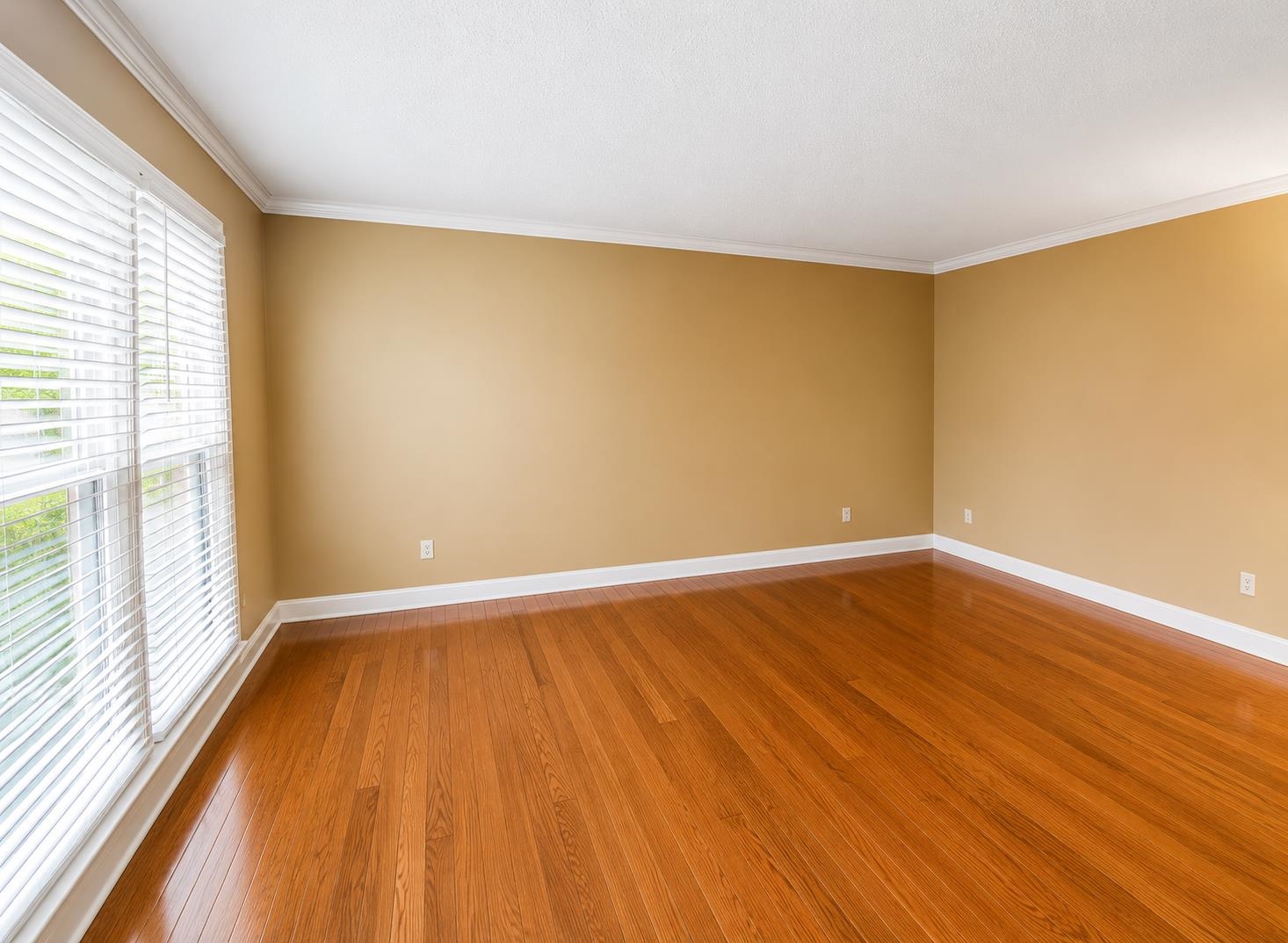 6888 Kingham Cv Property Photo 7