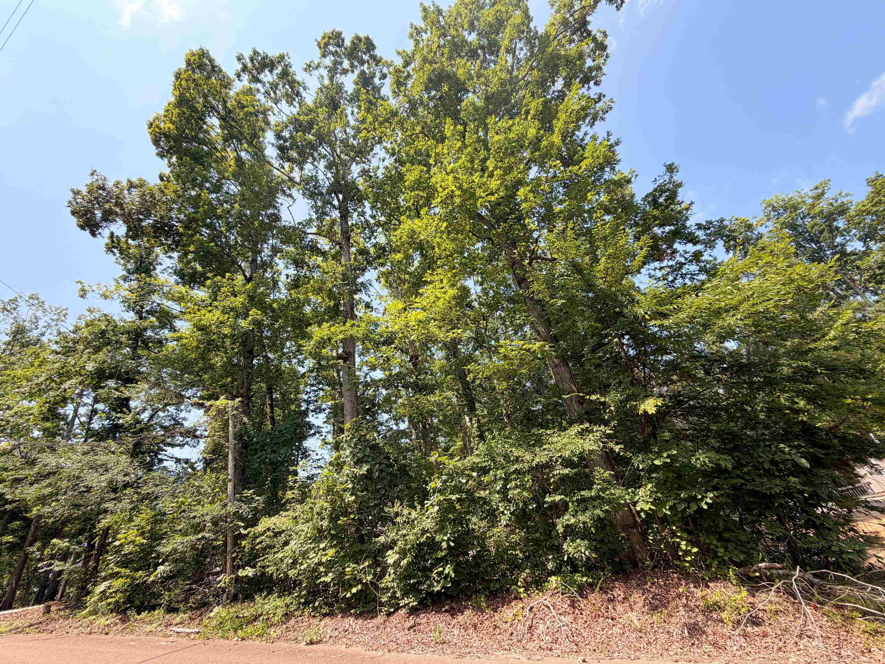 0 Yellow Creek Ln Property Photo 2