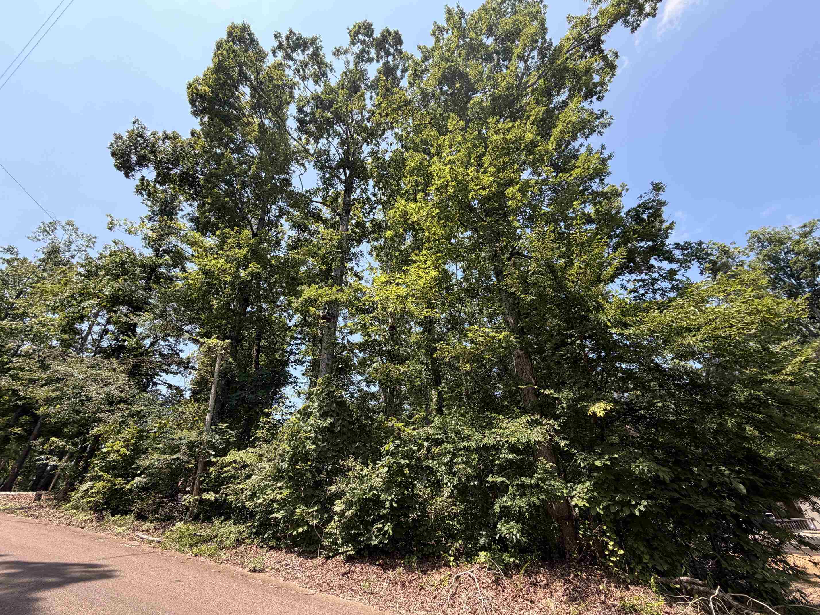 0 Yellow Creek Ln Property Photo 3