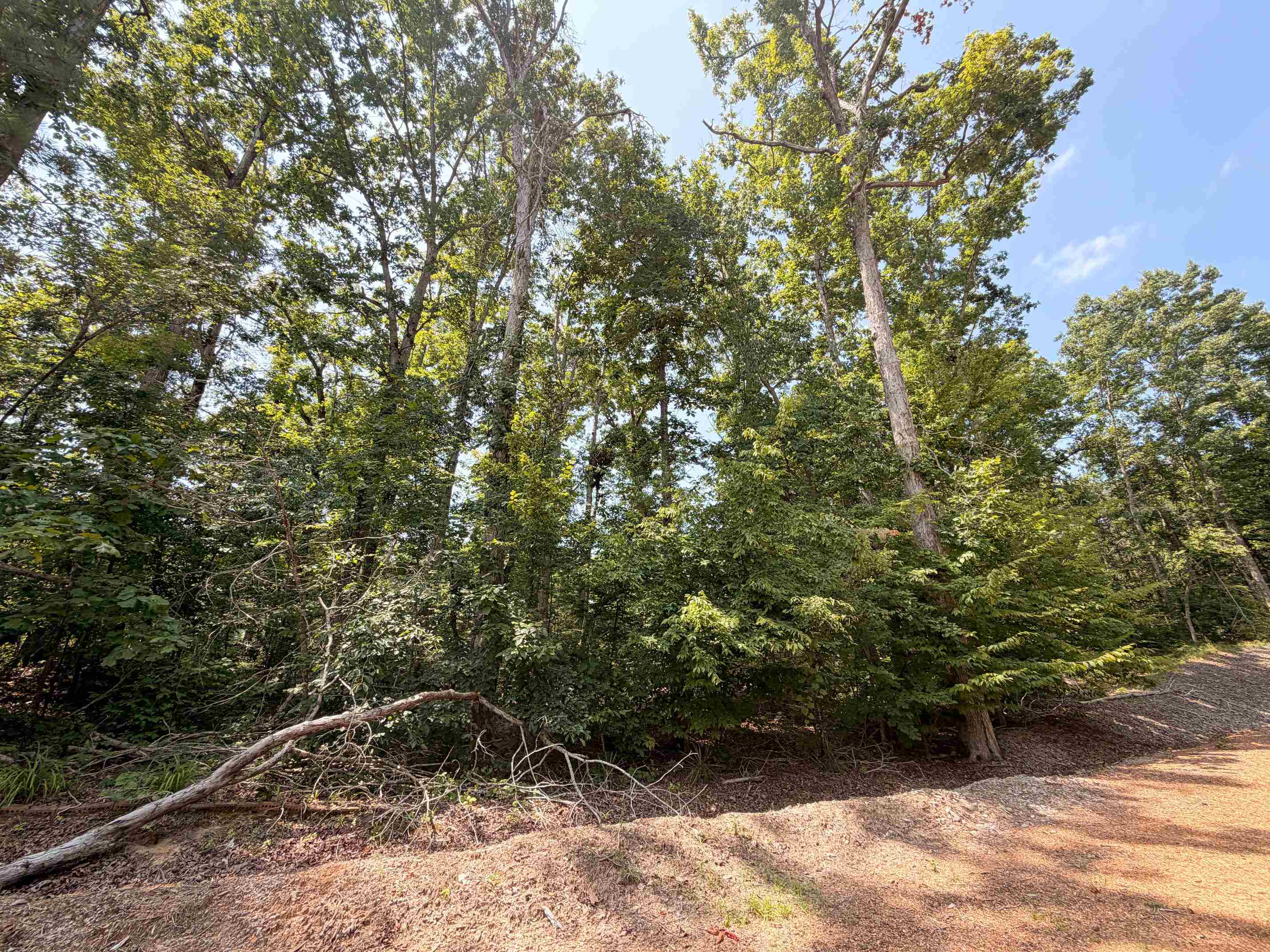0 Yellow Creek Ln Property Photo 6