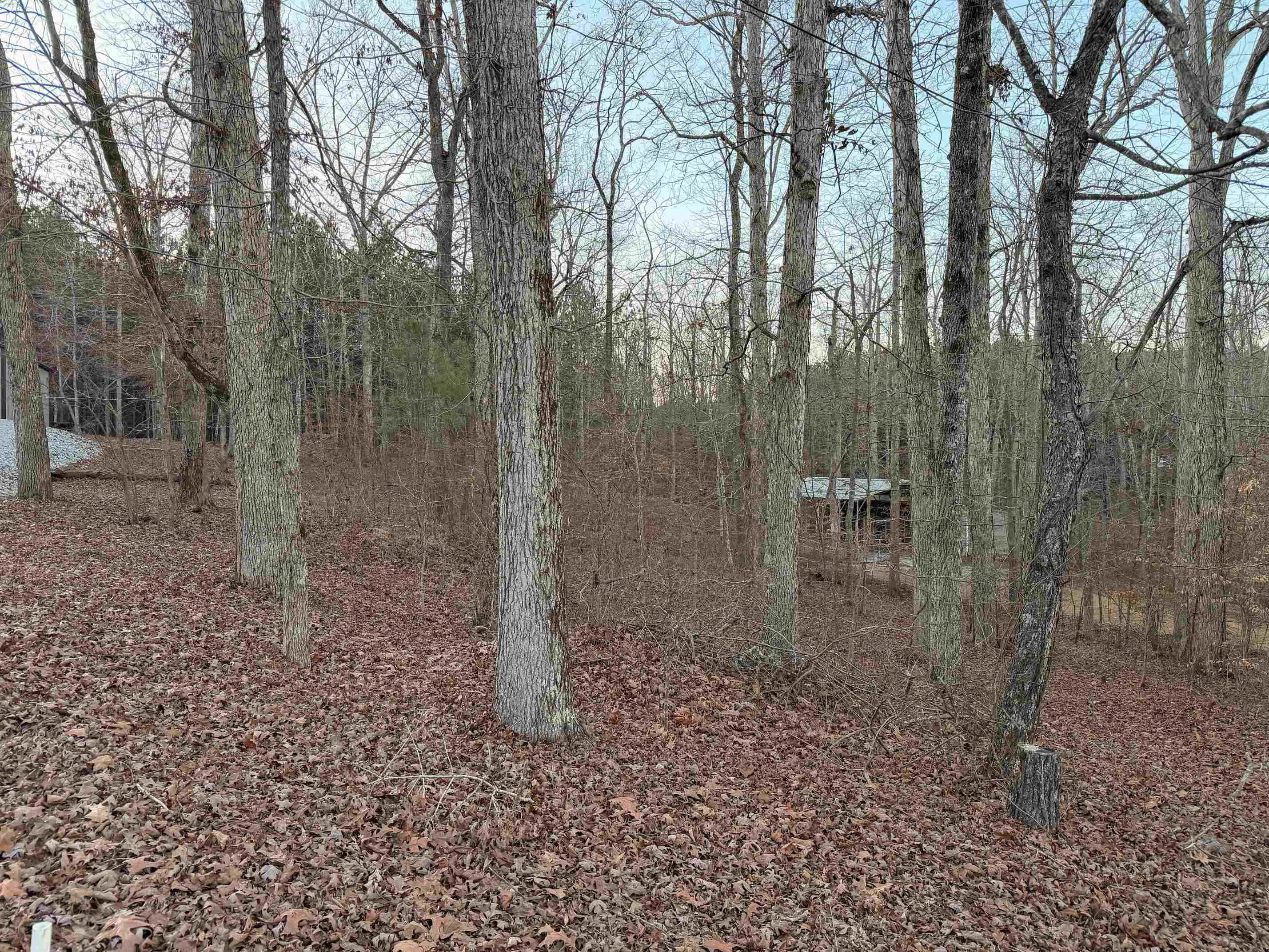 0 Yellow Creek Ln Property Photo 7