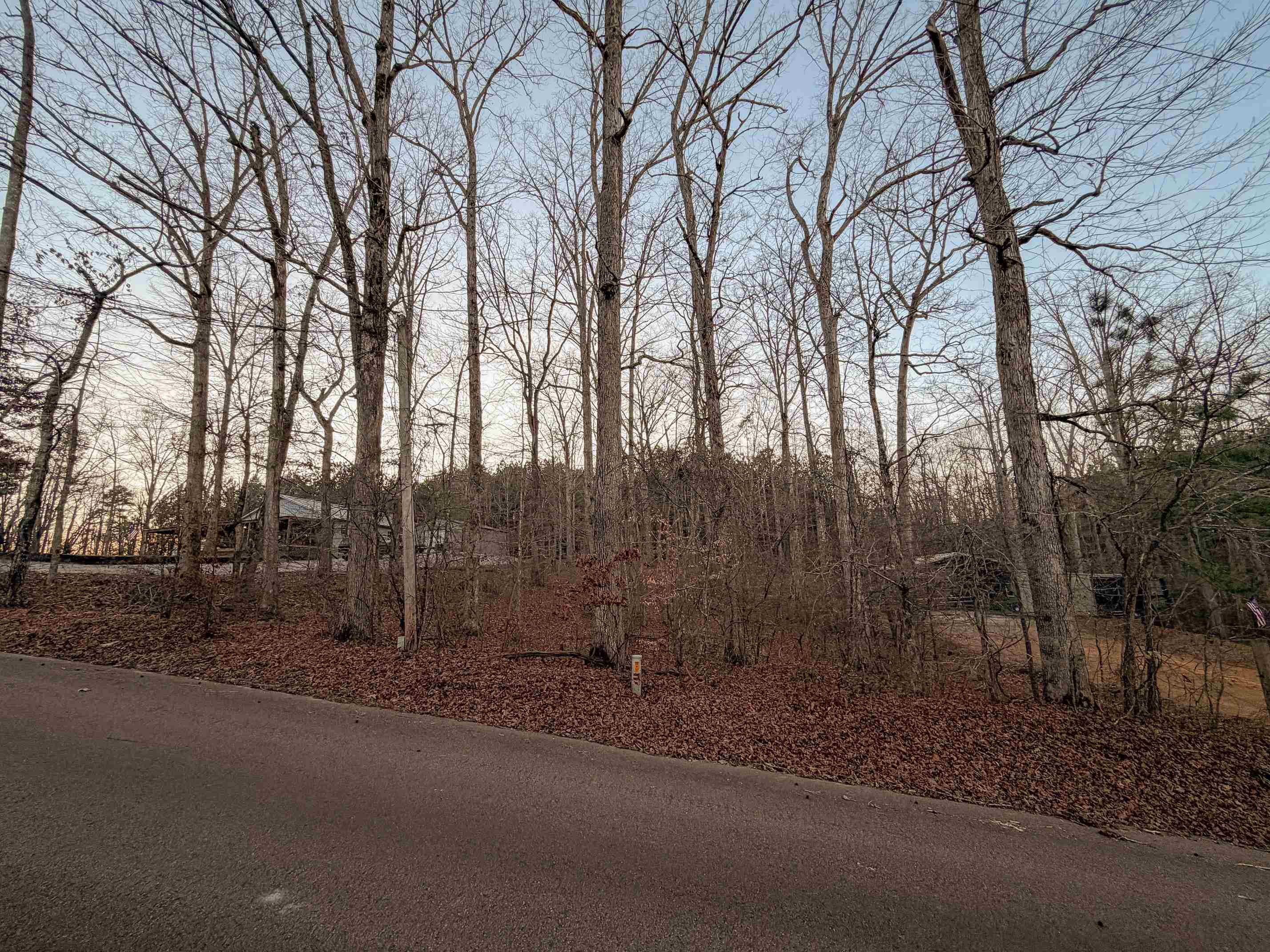 0 Yellow Creek Ln Property Photo 8