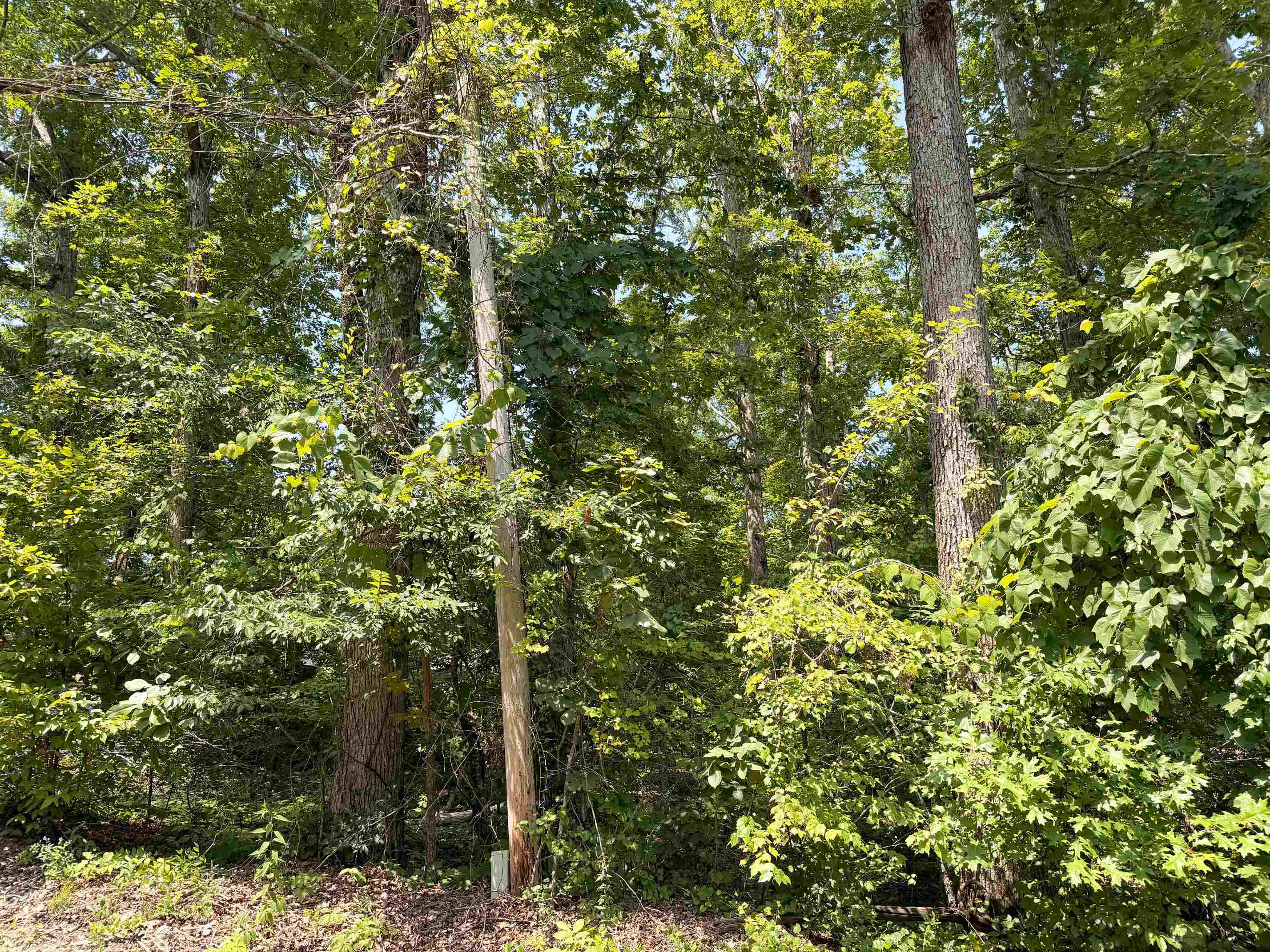0 Yellow Creek Ln Property Photo 9