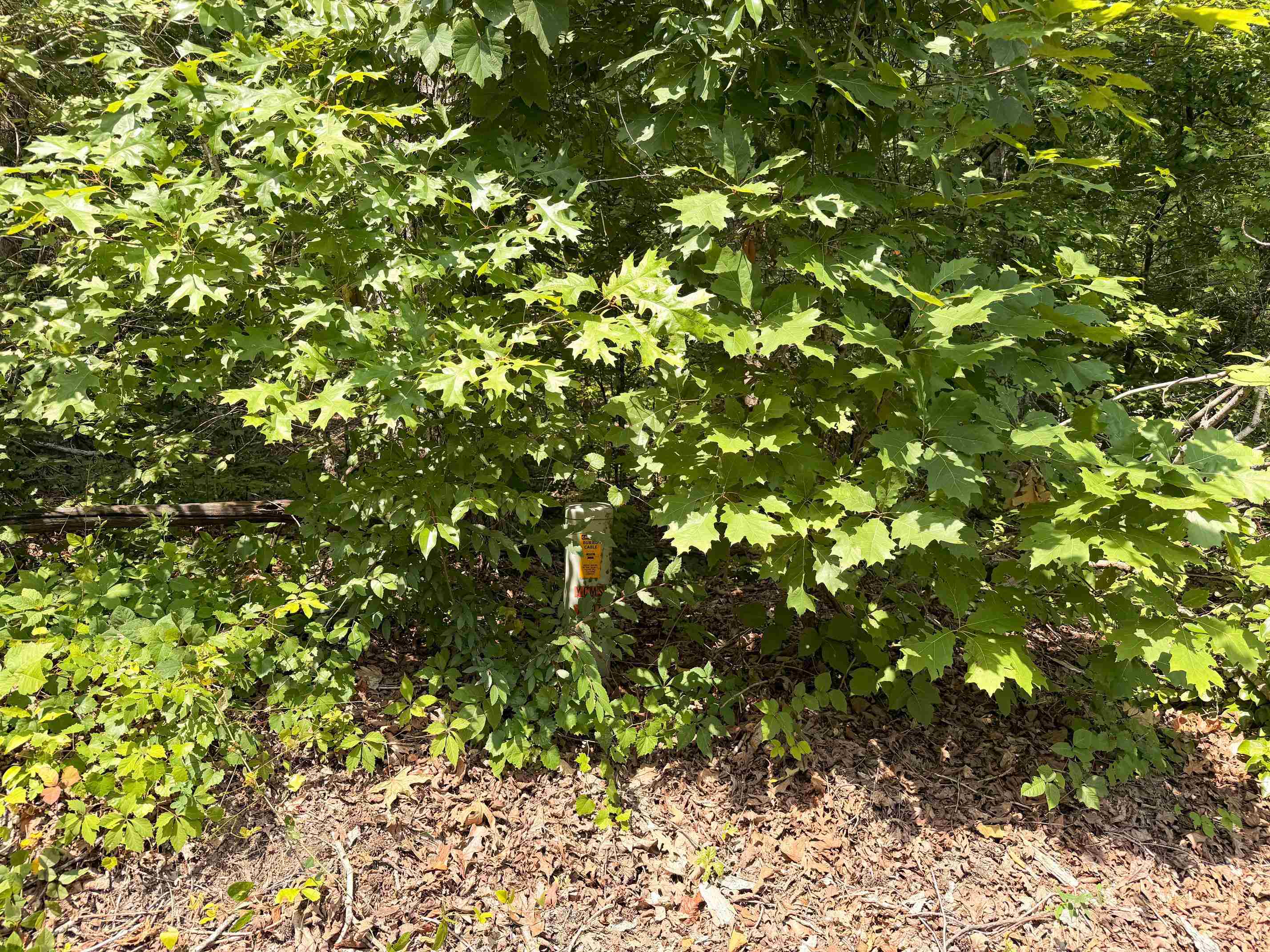 0 Yellow Creek Ln Property Photo 10
