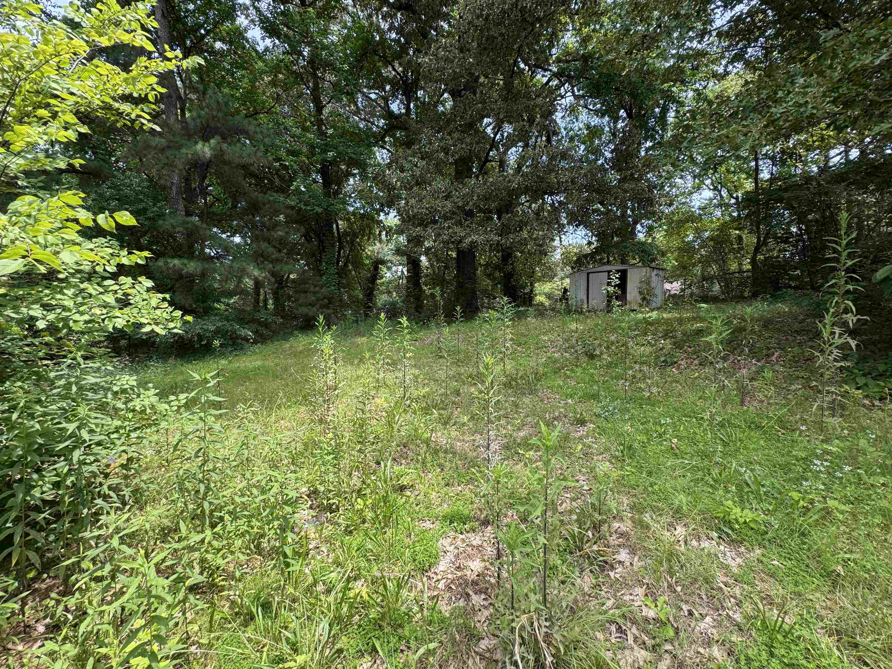 3522 Debby Dr Property Photo 5