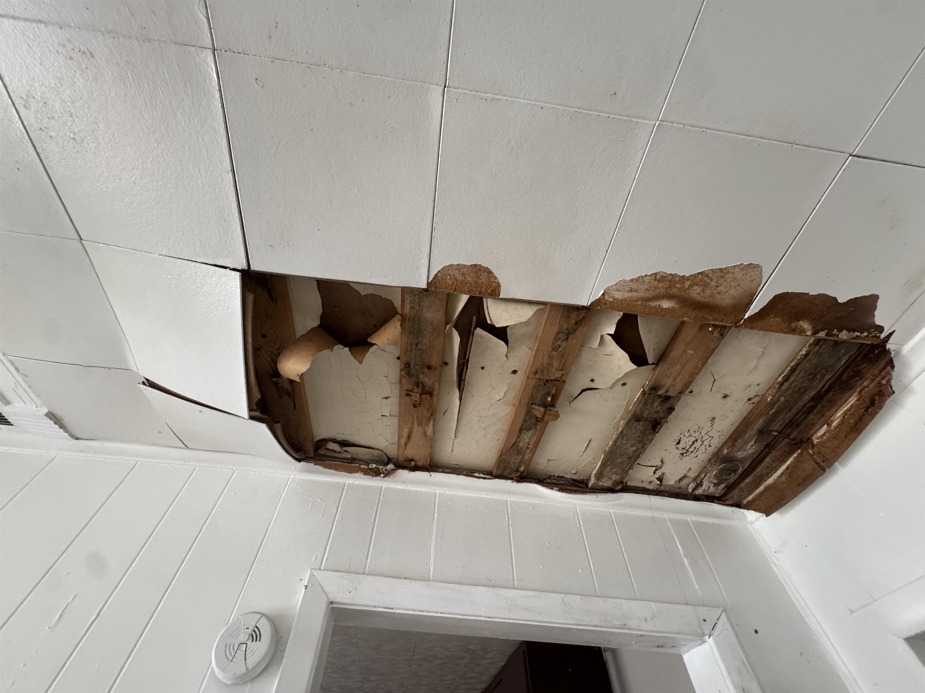 3115 Morningside St Property Photo 11