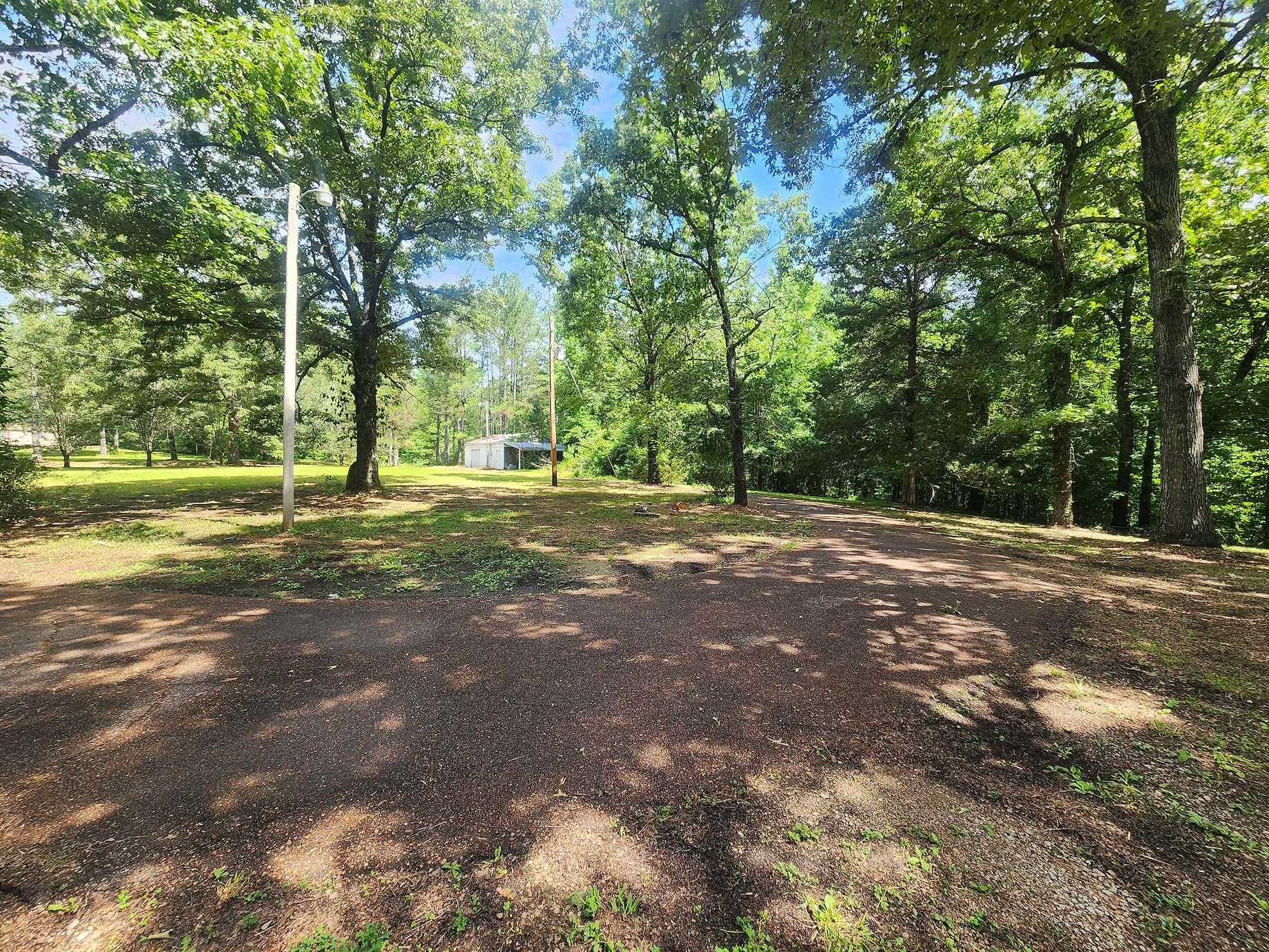 205 Van Buren Ln Property Photo 6