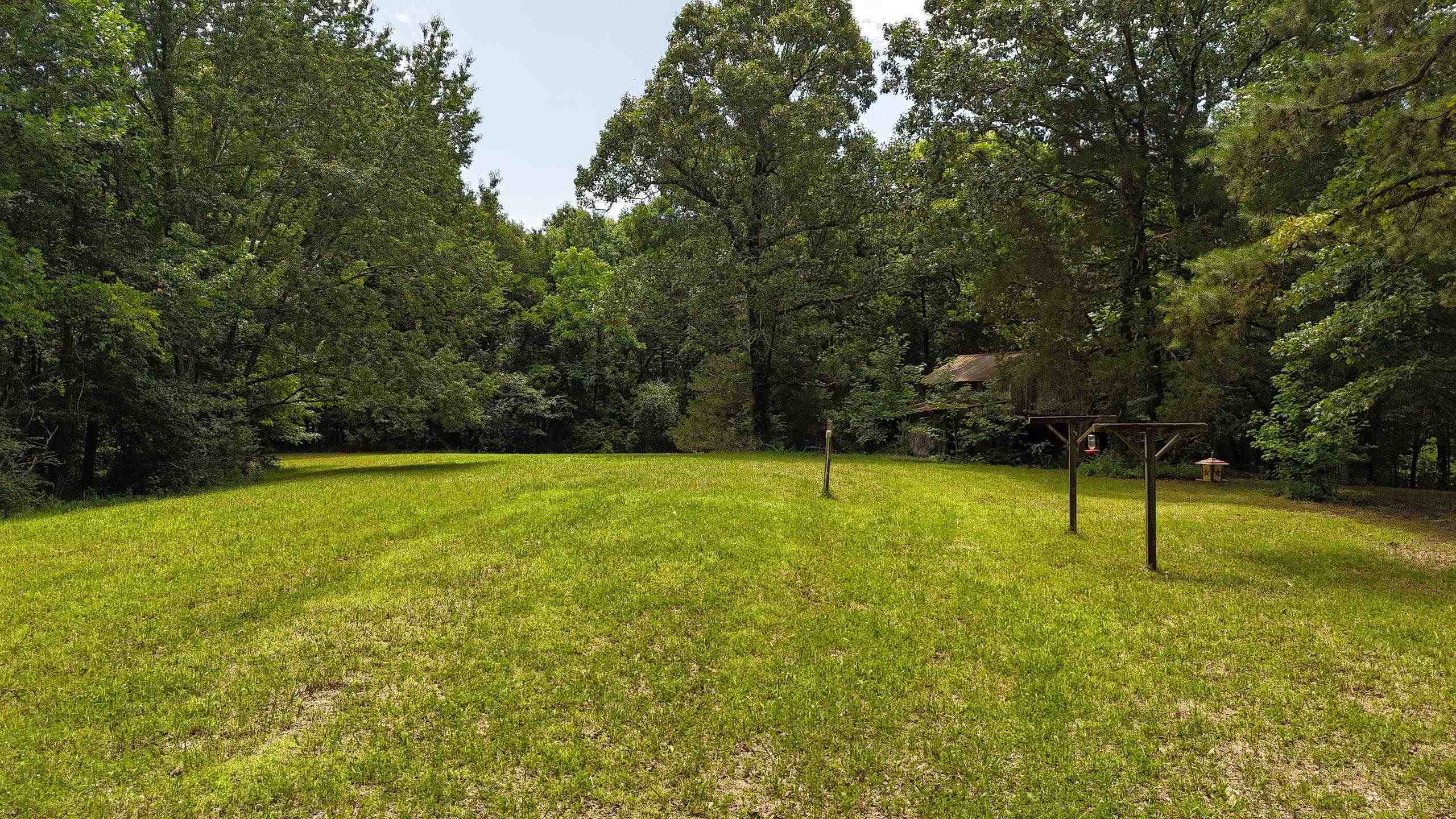 205 Van Buren Ln Property Photo 9