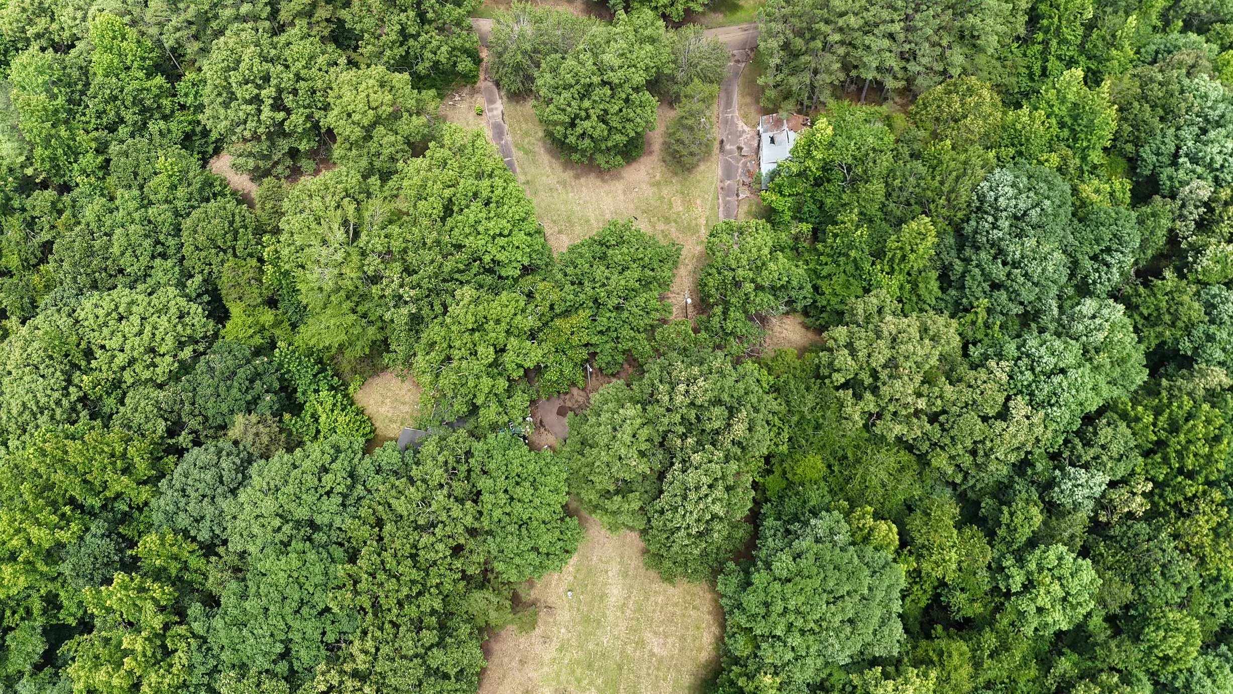 205 Van Buren Ln Property Photo 12