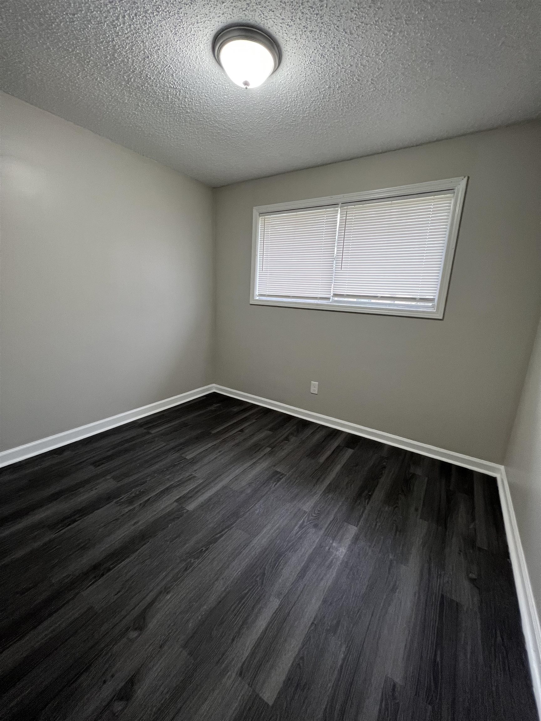 223 Charter Ave Property Photo 4