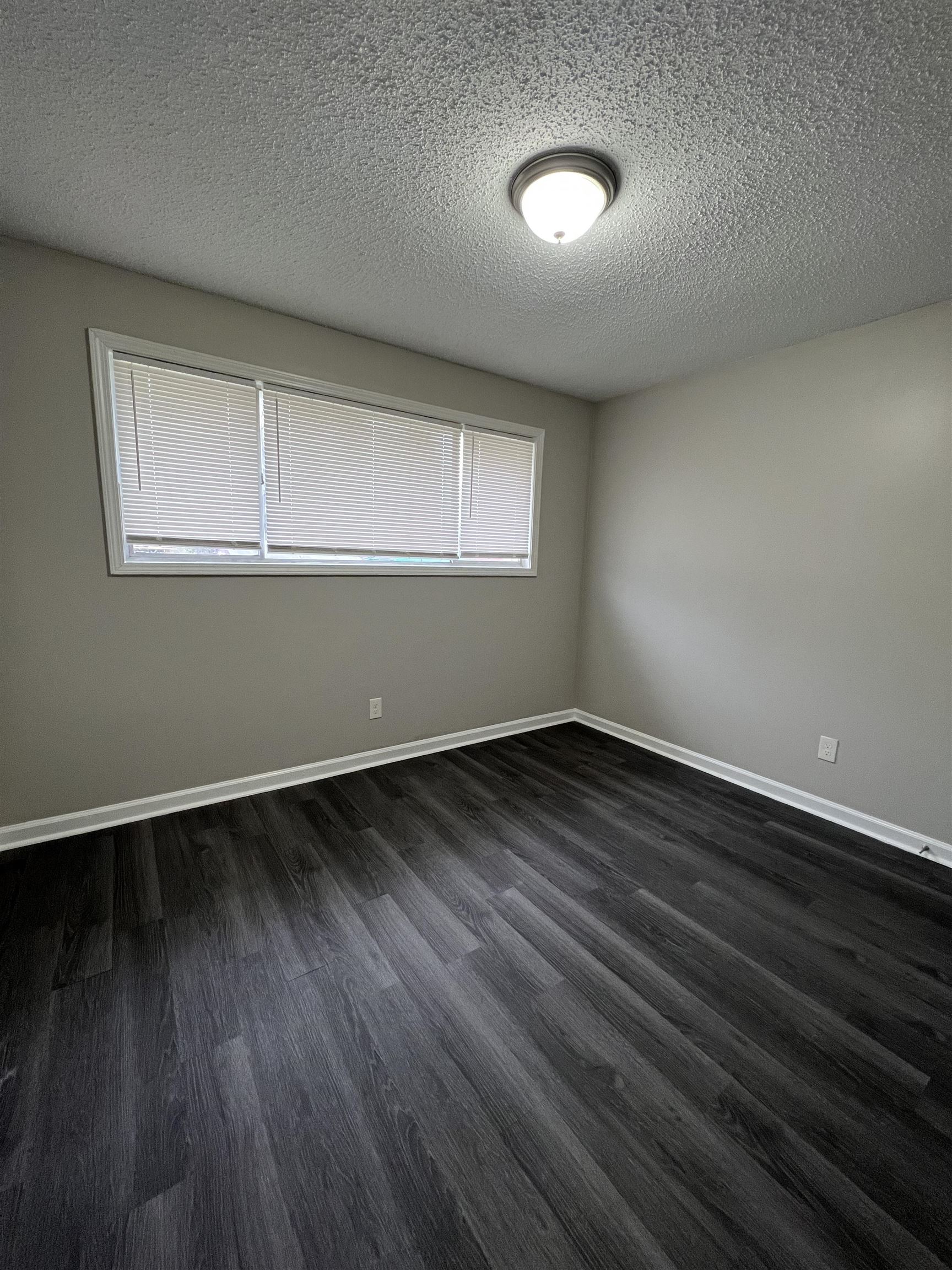 223 Charter Ave Property Photo 5