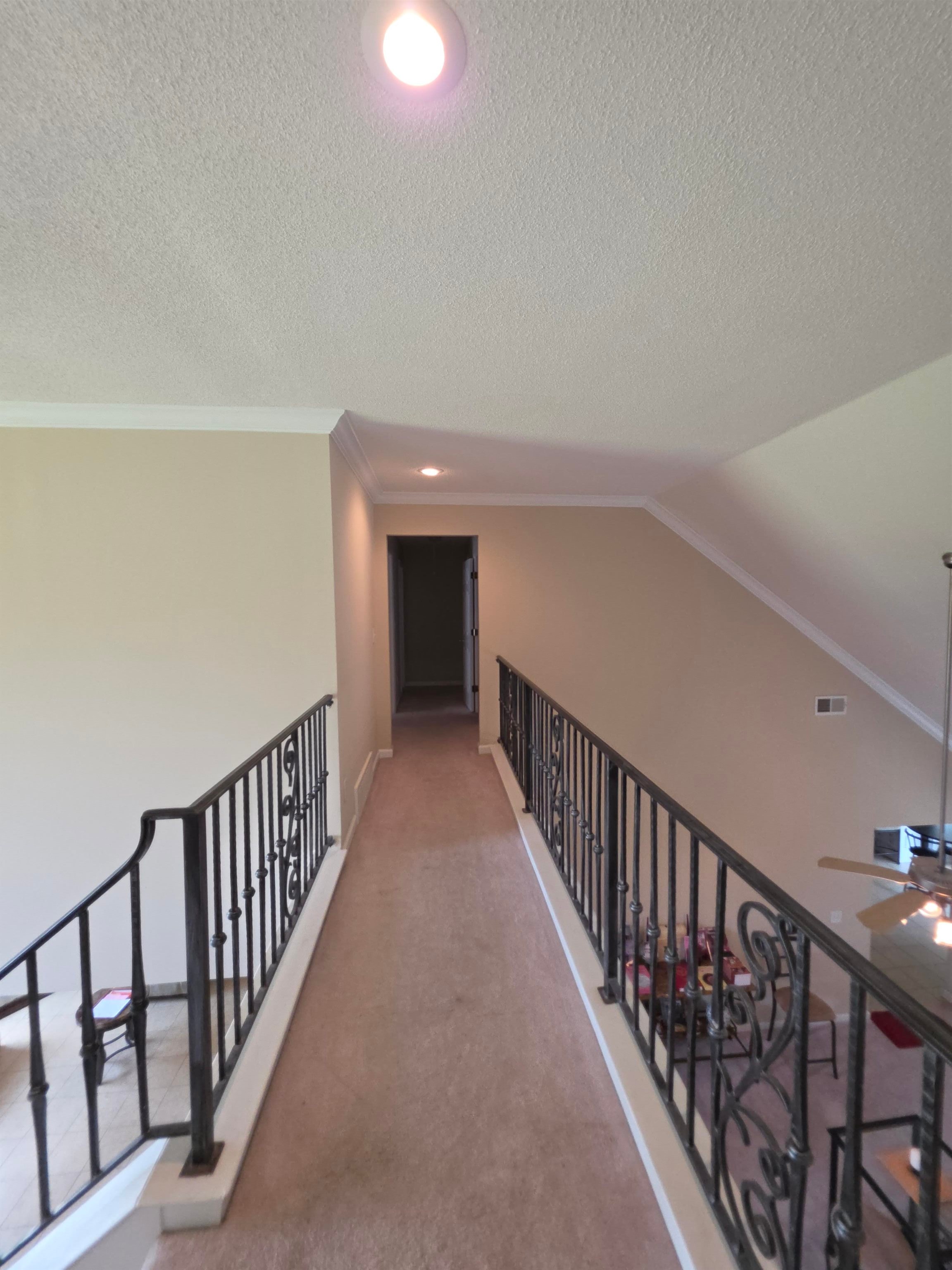 7253 Rourke Cir Property Photo 21