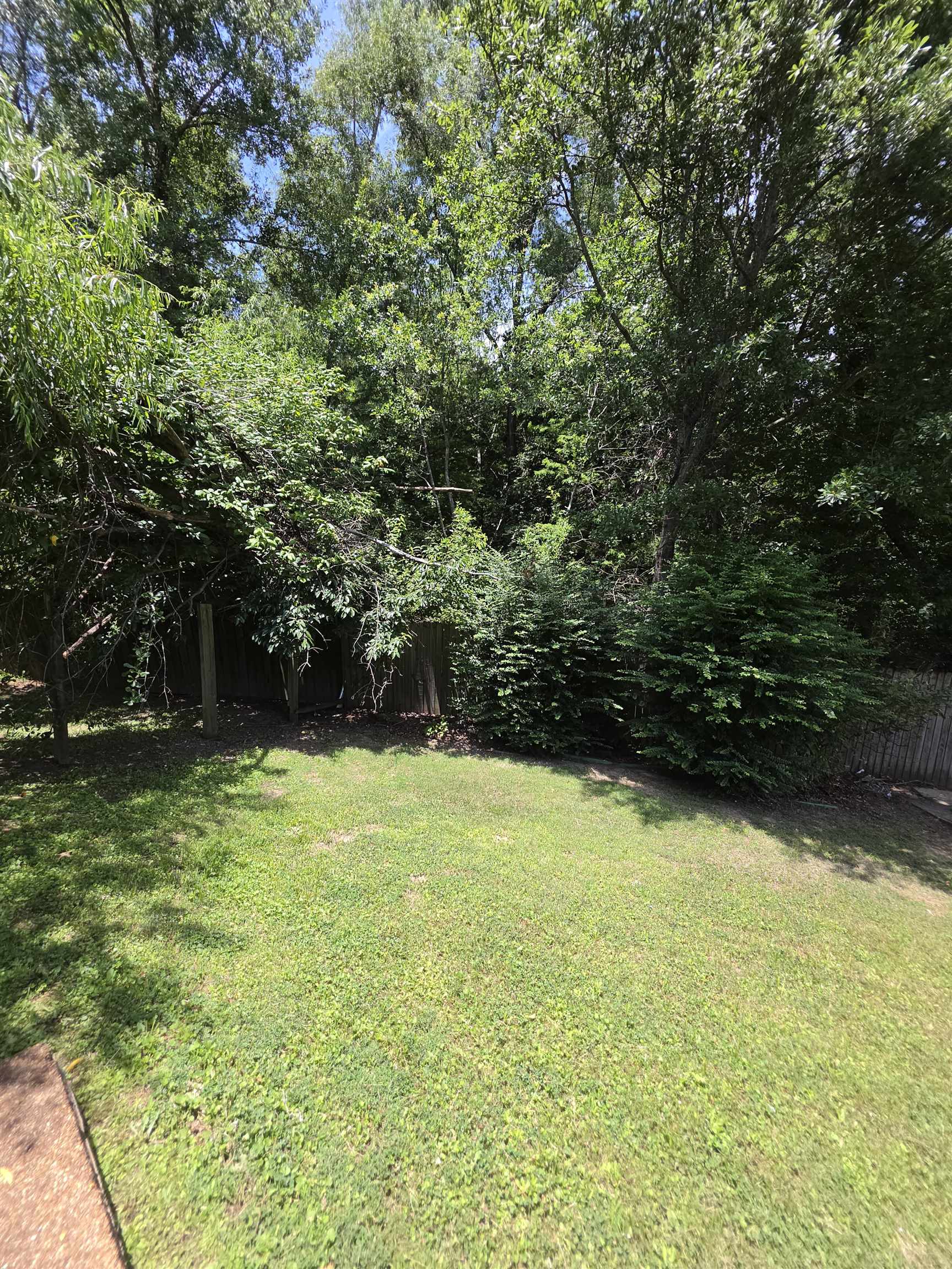 7253 Rourke Cir Property Photo 27